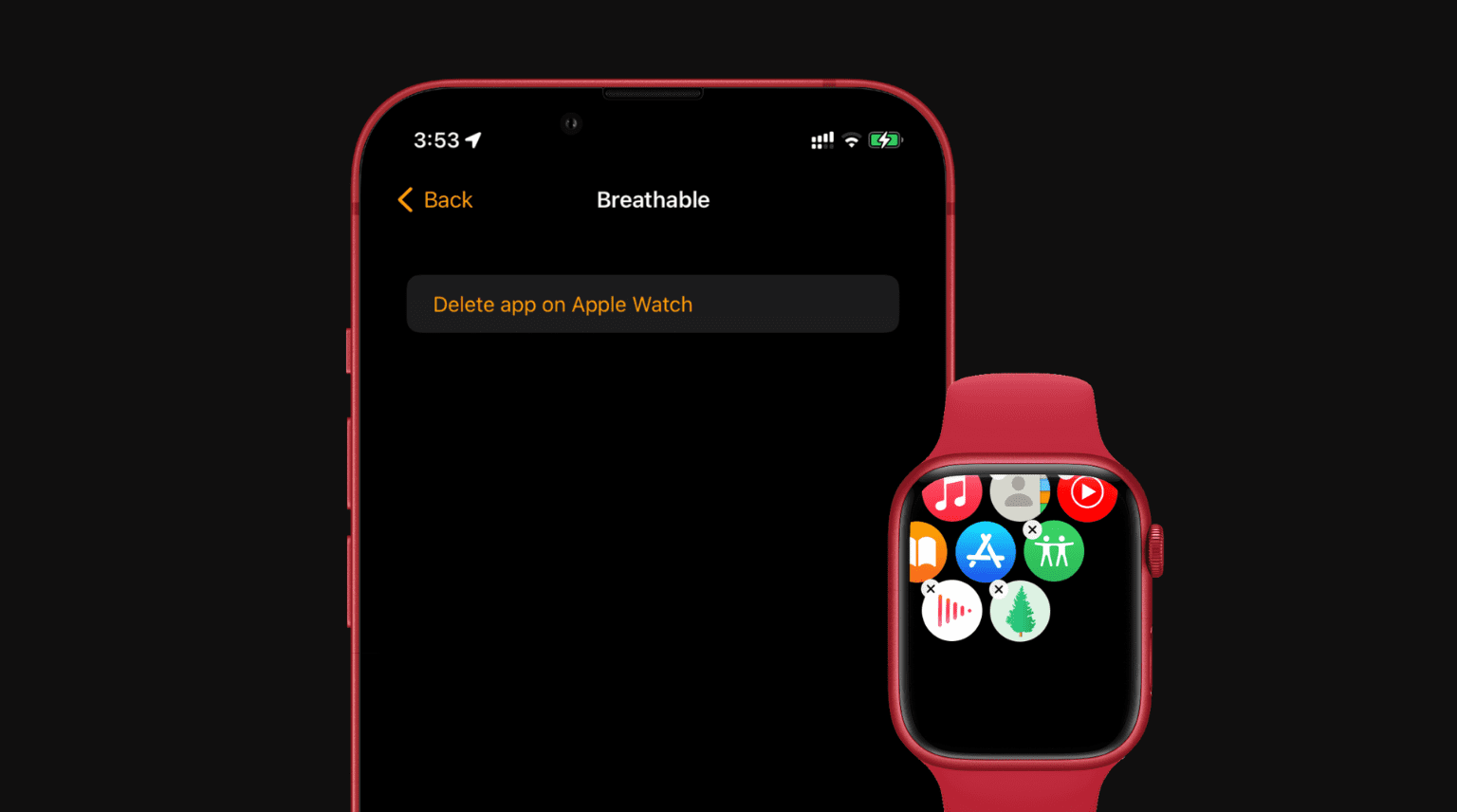 How to delete app on Apple Watch