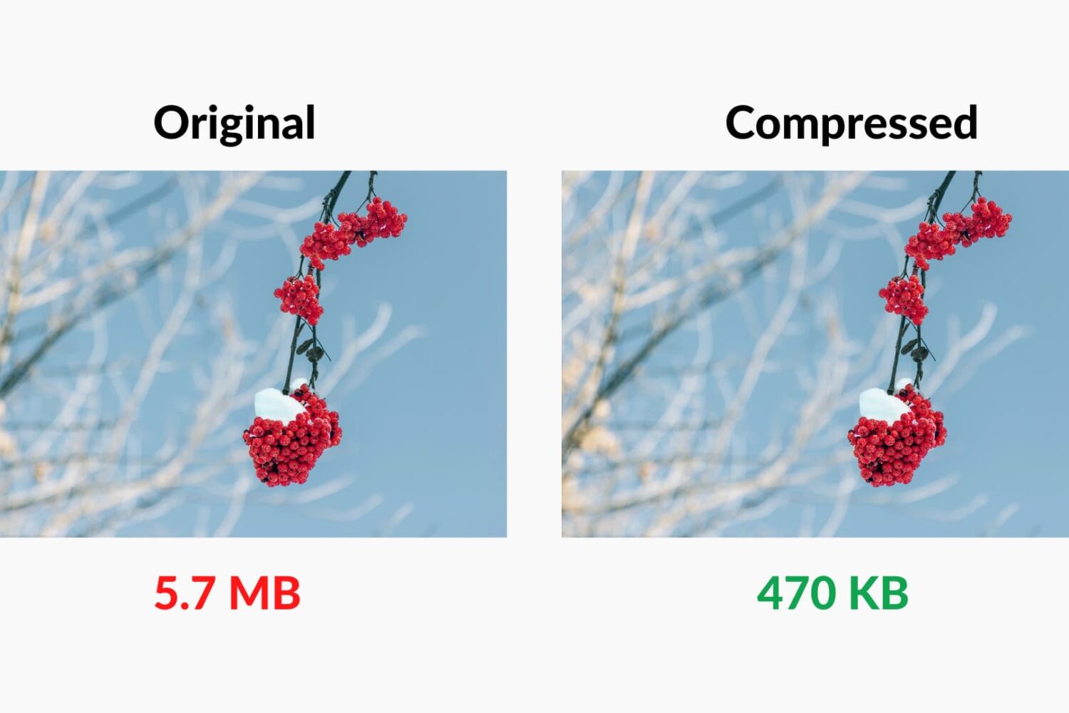 Original and Compressed Image Comparison Mac