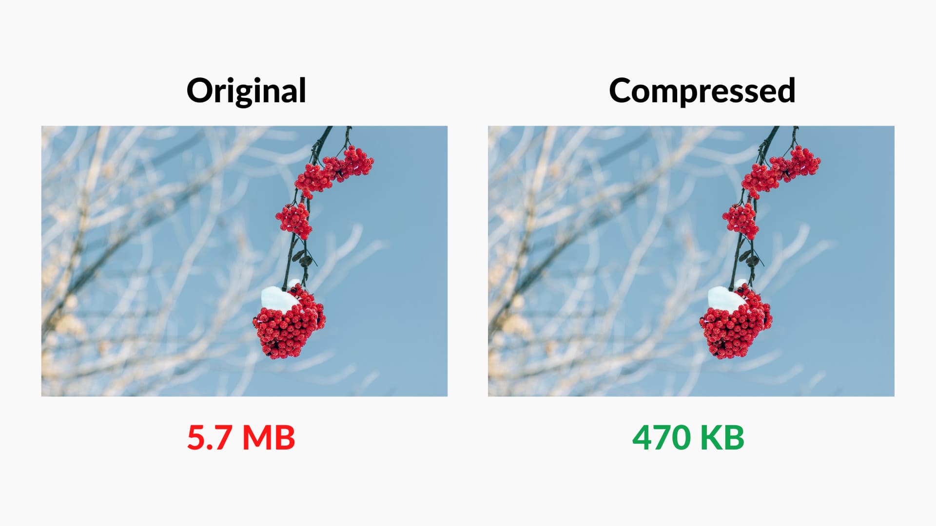 Original and Compressed Image Comparison Mac