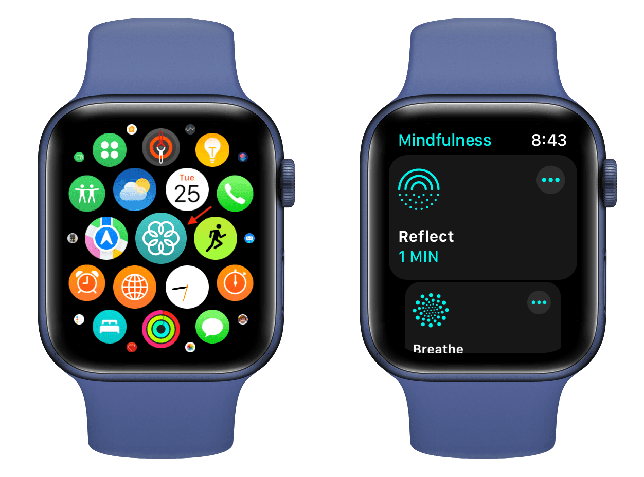 Breath and Reflect sessions on Apple Watch