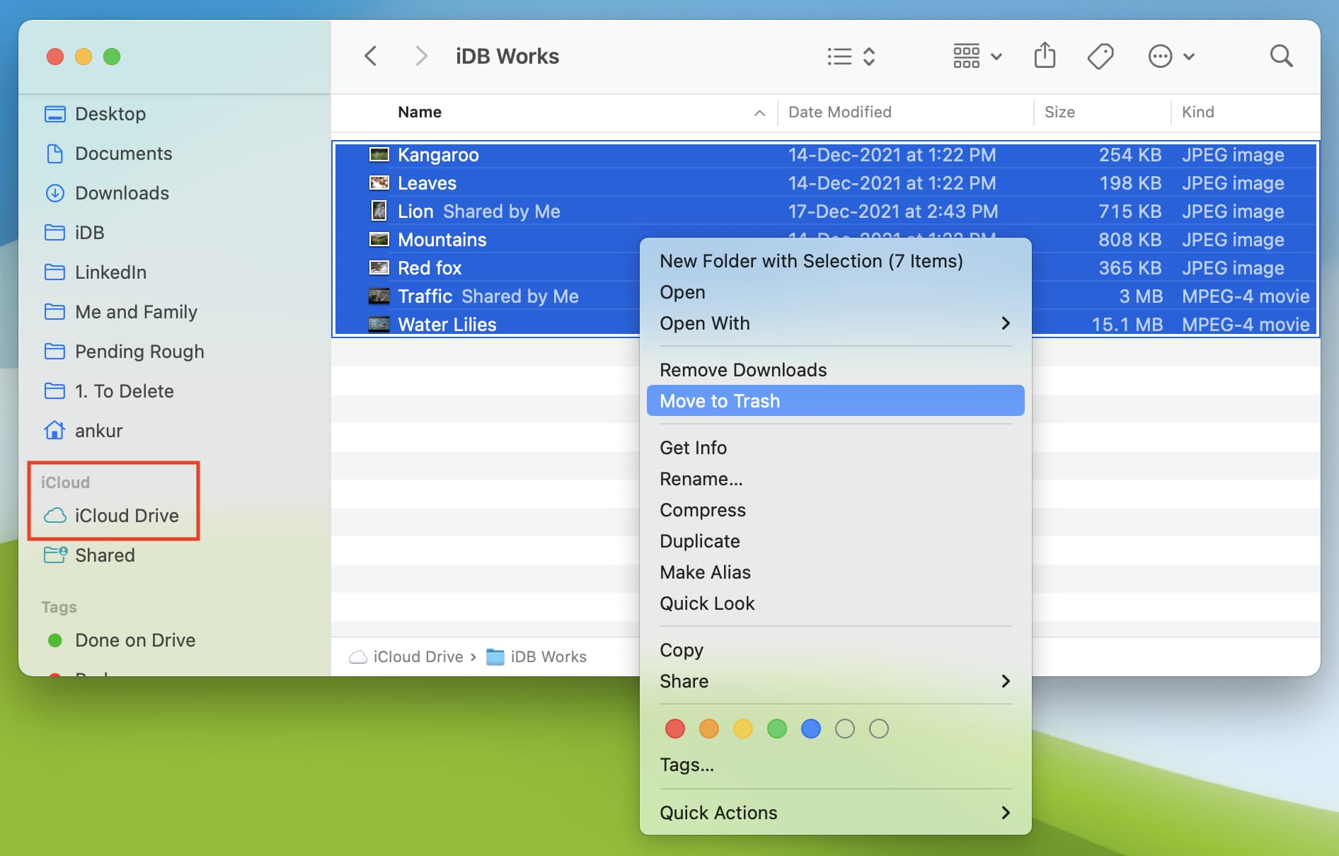 Delete files in iCloud Drive on Mac