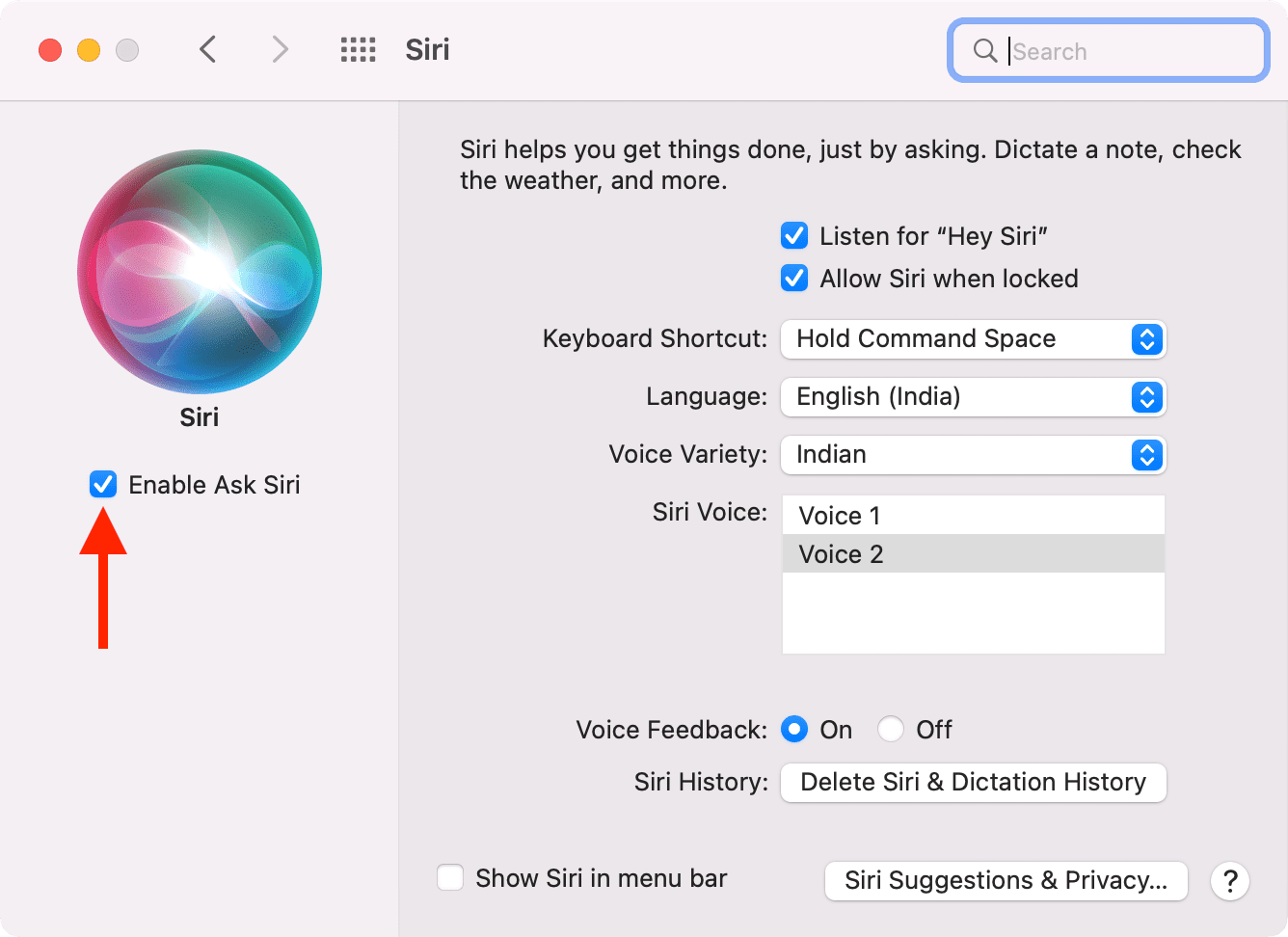 Enable Ask Siri on Mac