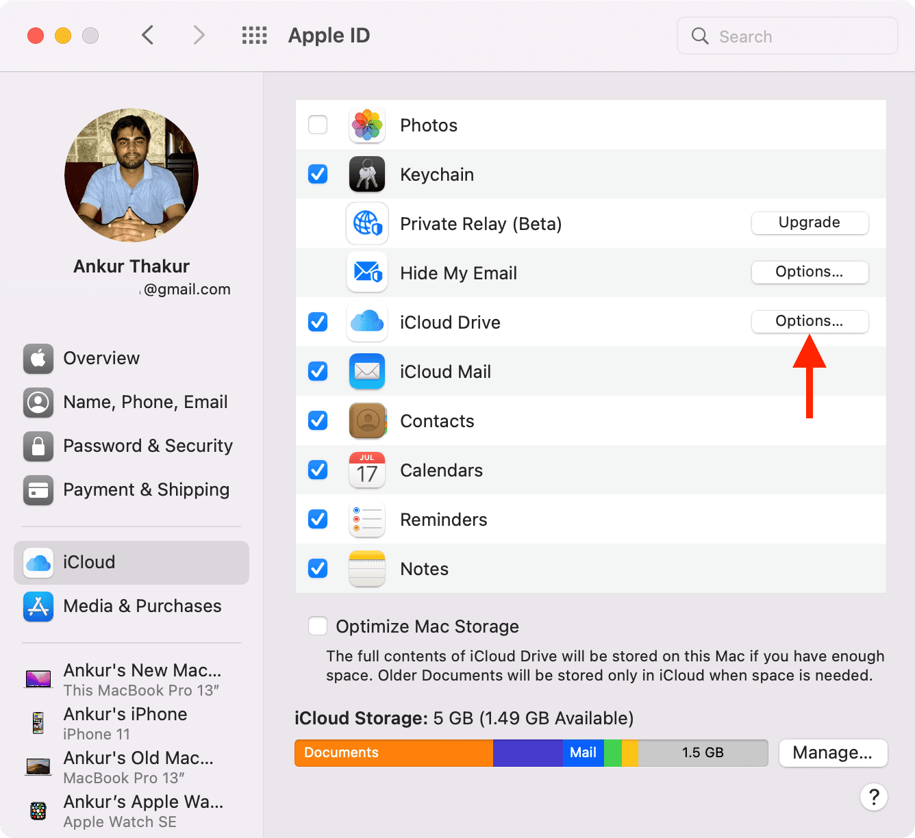 iCloud Drive Options on Mac