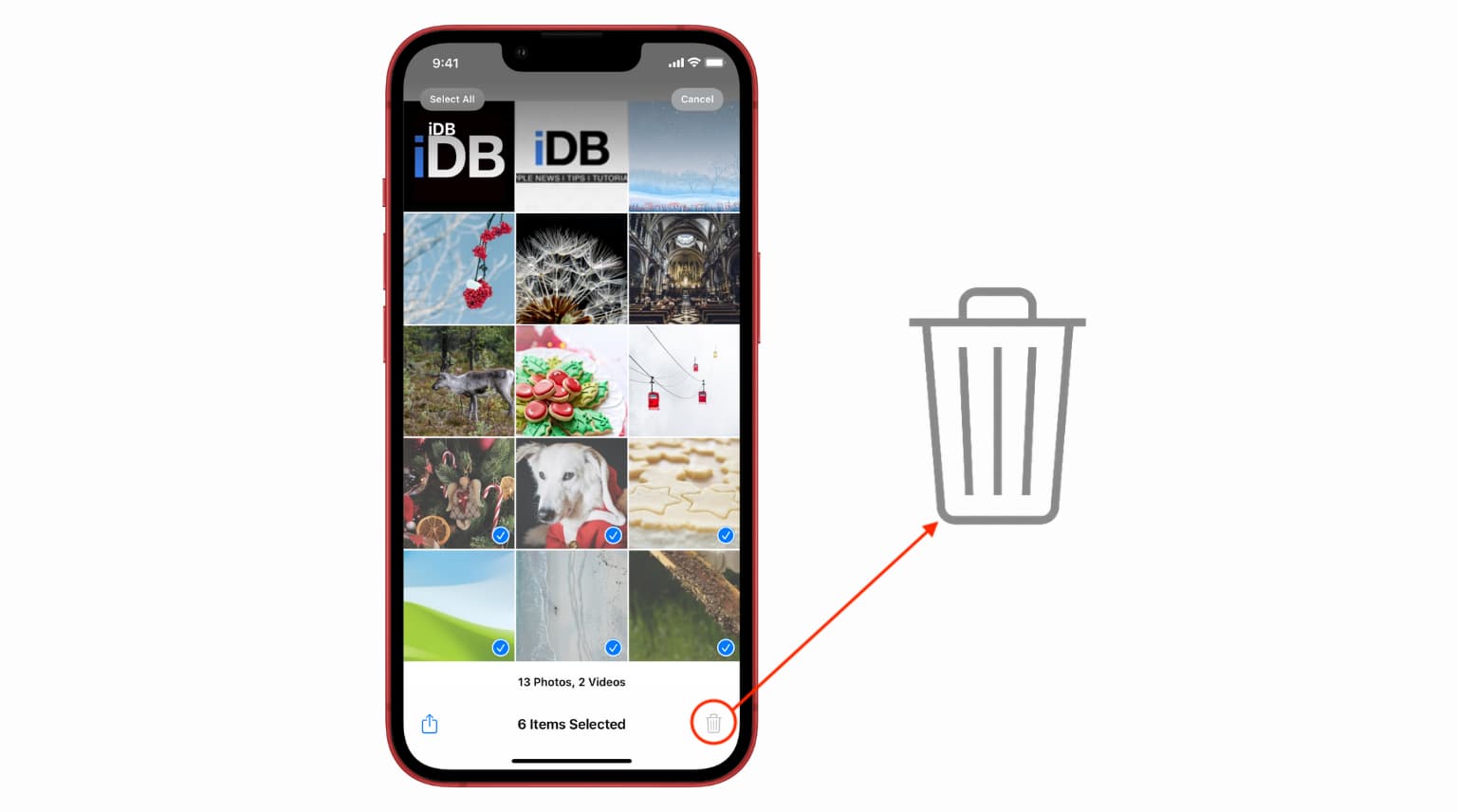 Trash icon grayed out in Photos app on iPhone