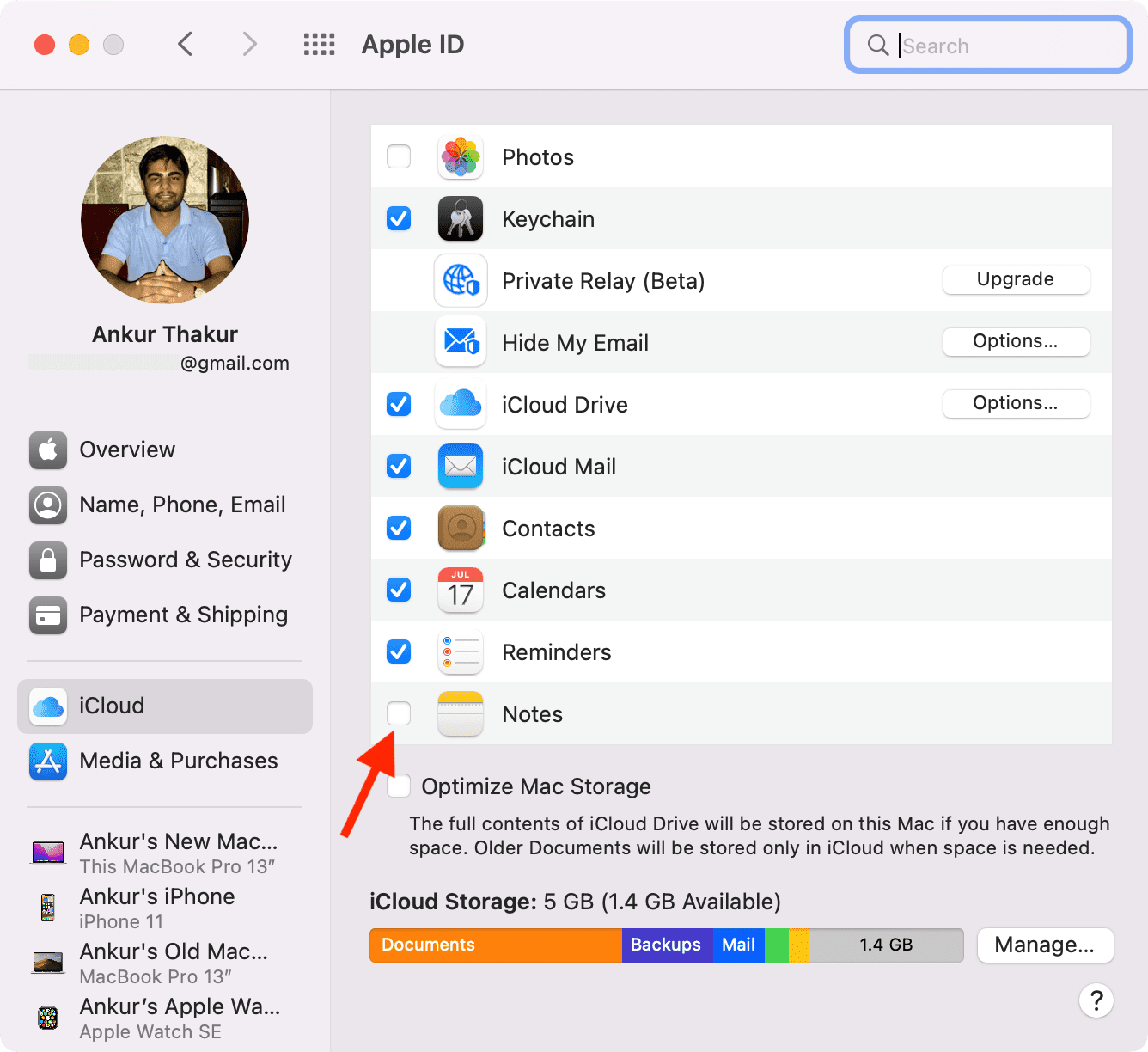 Disable iCloud Notes Mac