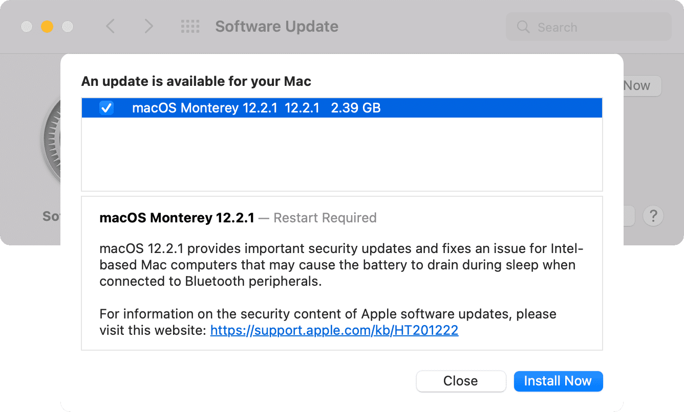 Downloaded macOS Update file