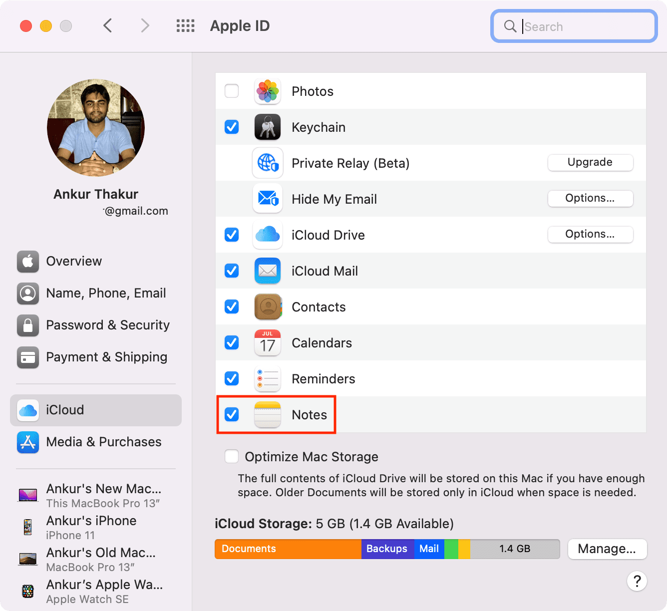 Enable iCloud Notes Mac