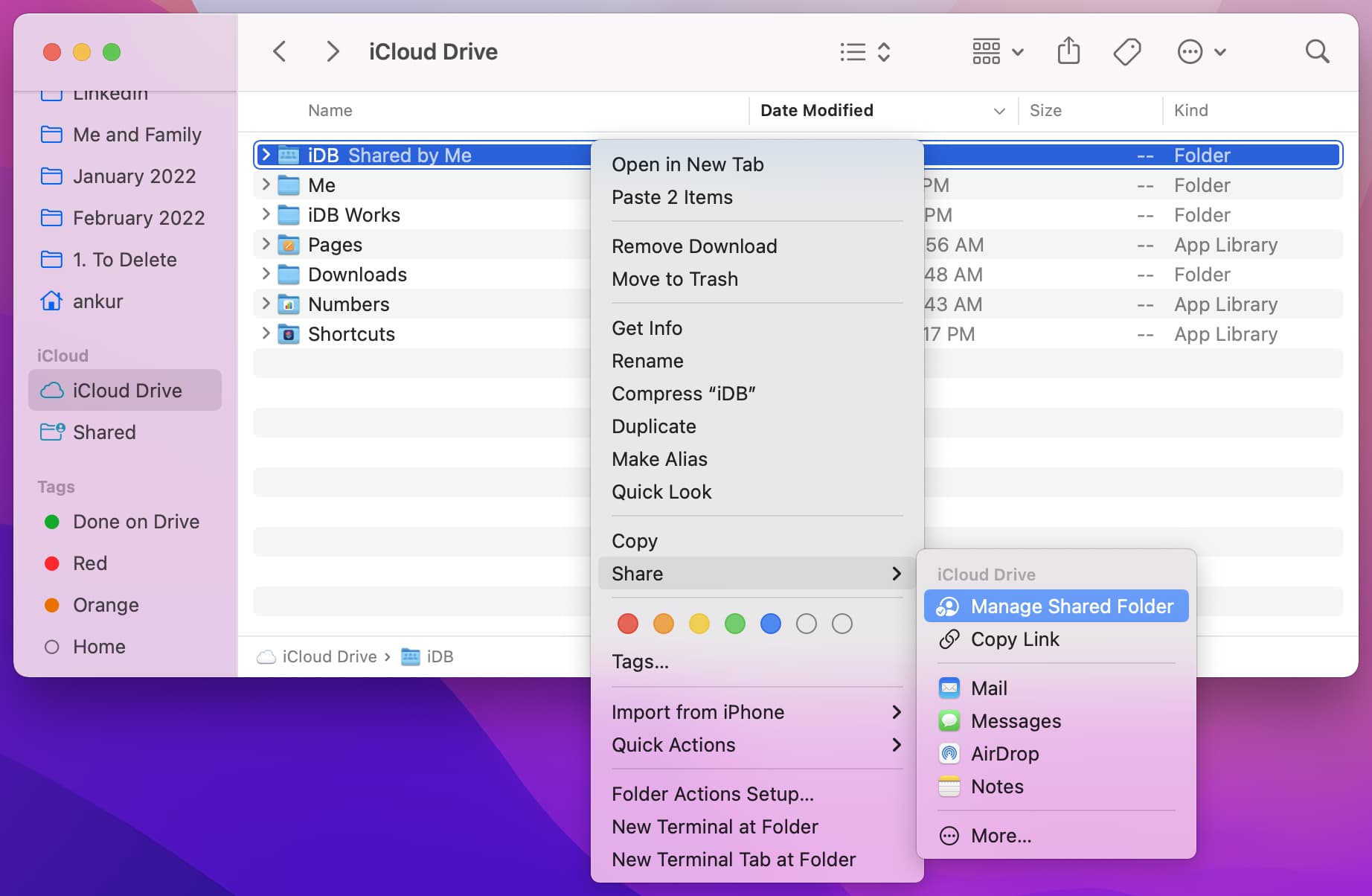 Manage Shared Folder in iCloud Drive on Mac