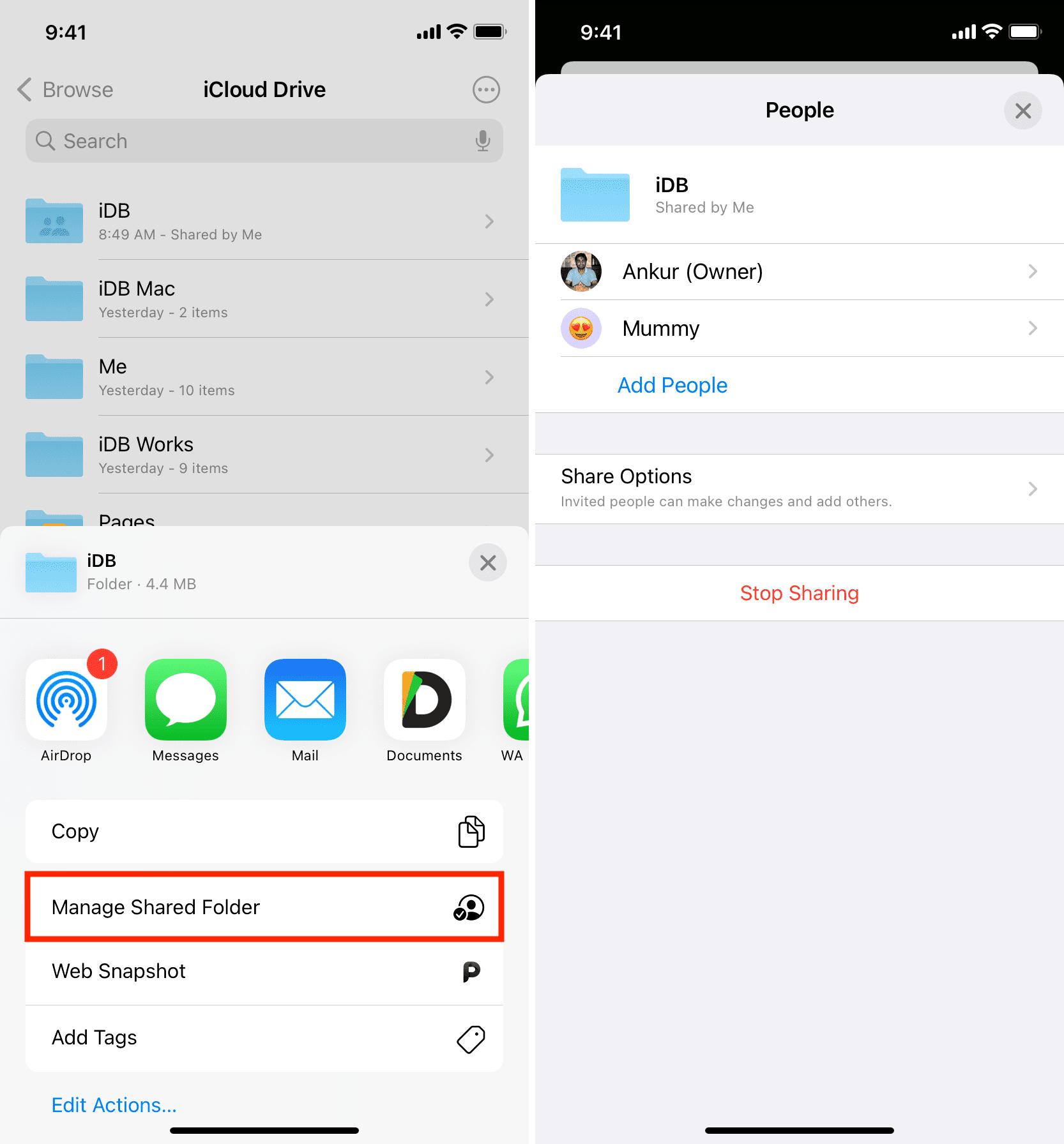 Manage Shared iCloud Drive folder on iPhone