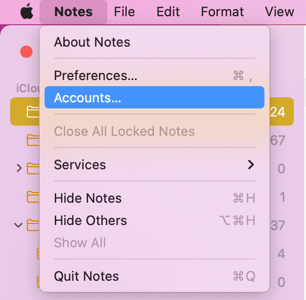 Notes Accounts on Mac