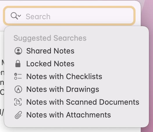 Search bar in Notes app on Mac