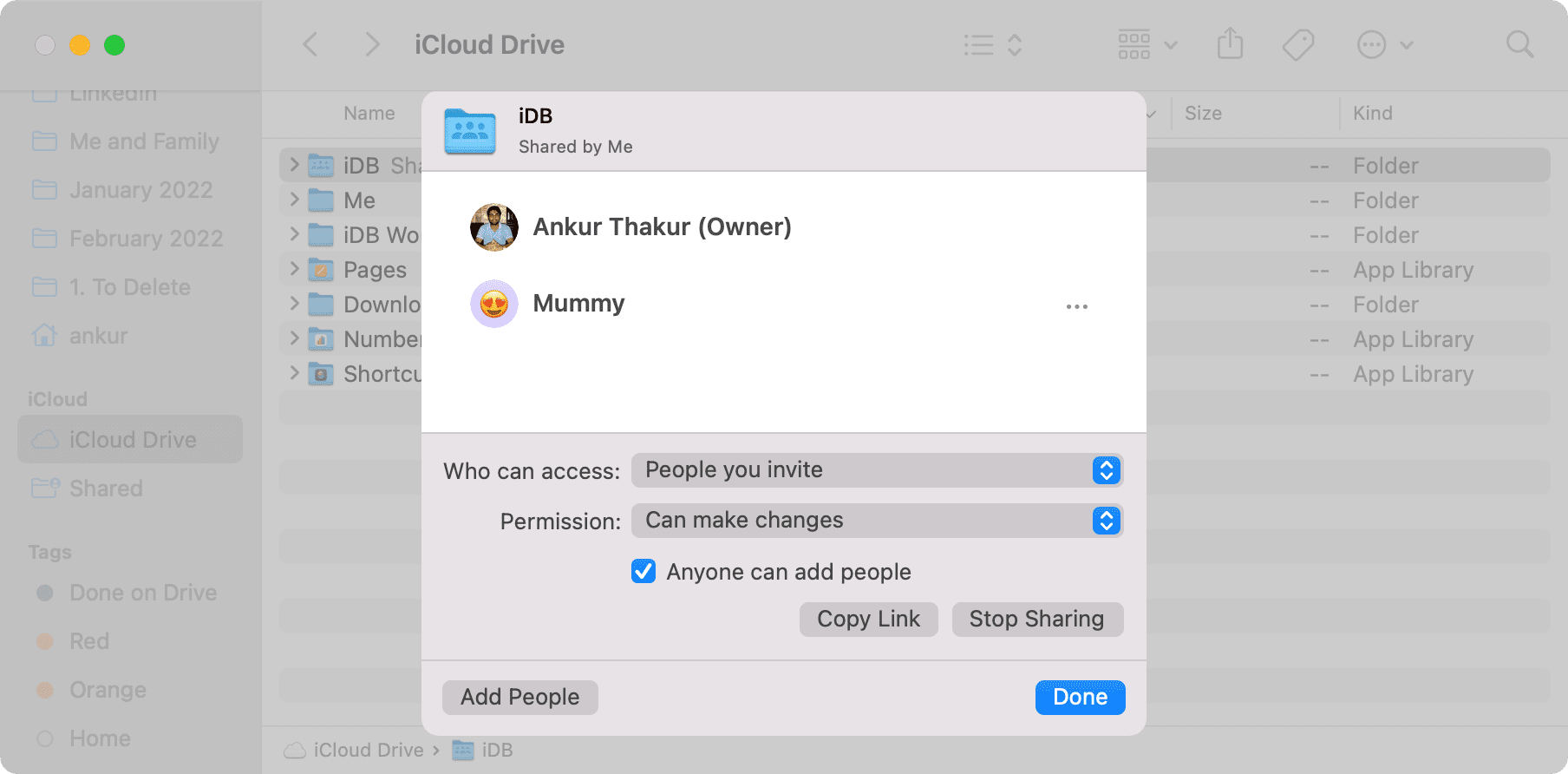 Shared iCloud Drive folder settings on Mac
