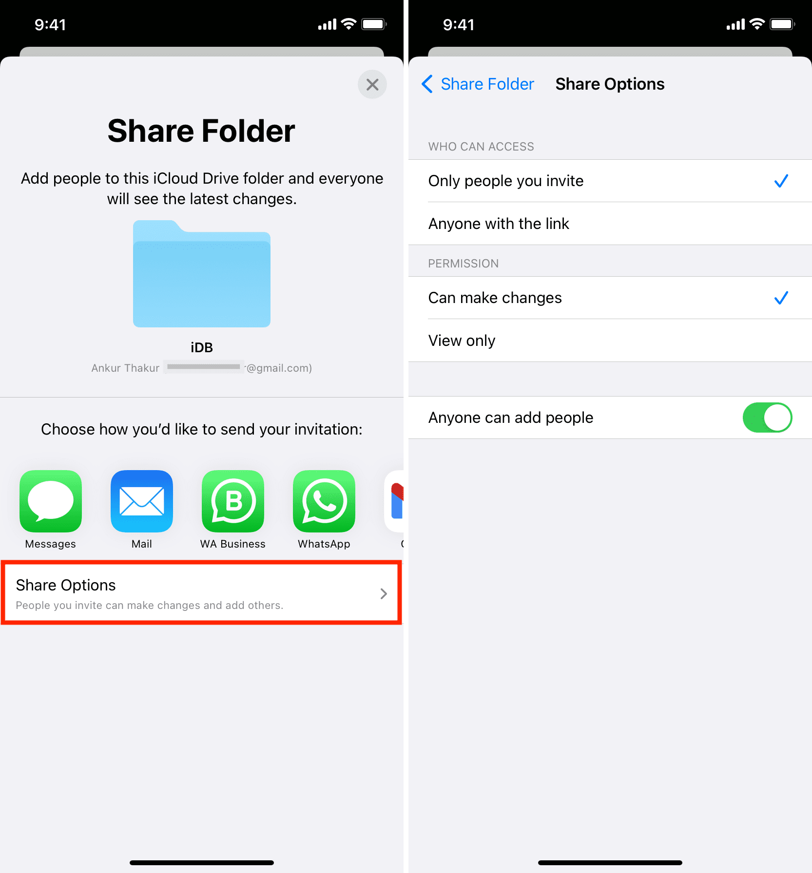 iCloud Drive folder Share Options on iPhone