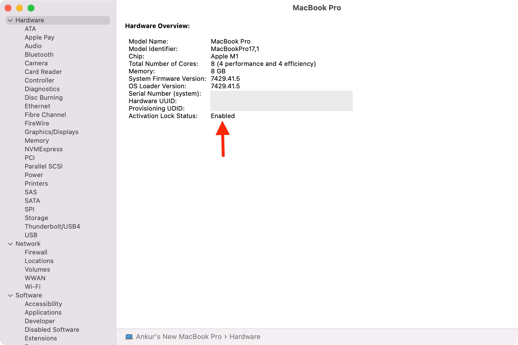Activation Lock Status on Mac