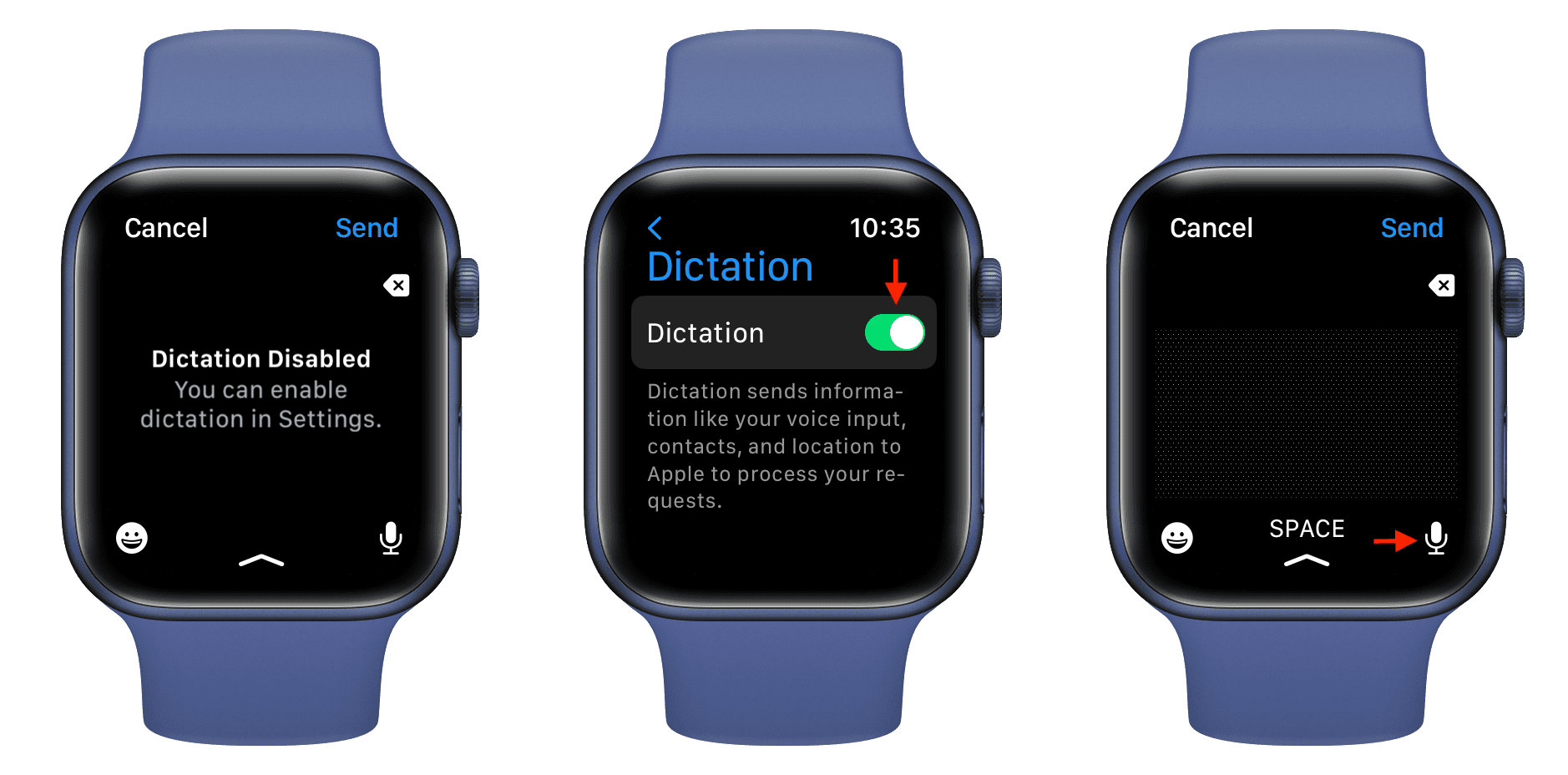 Enable Dictation on Apple Watch