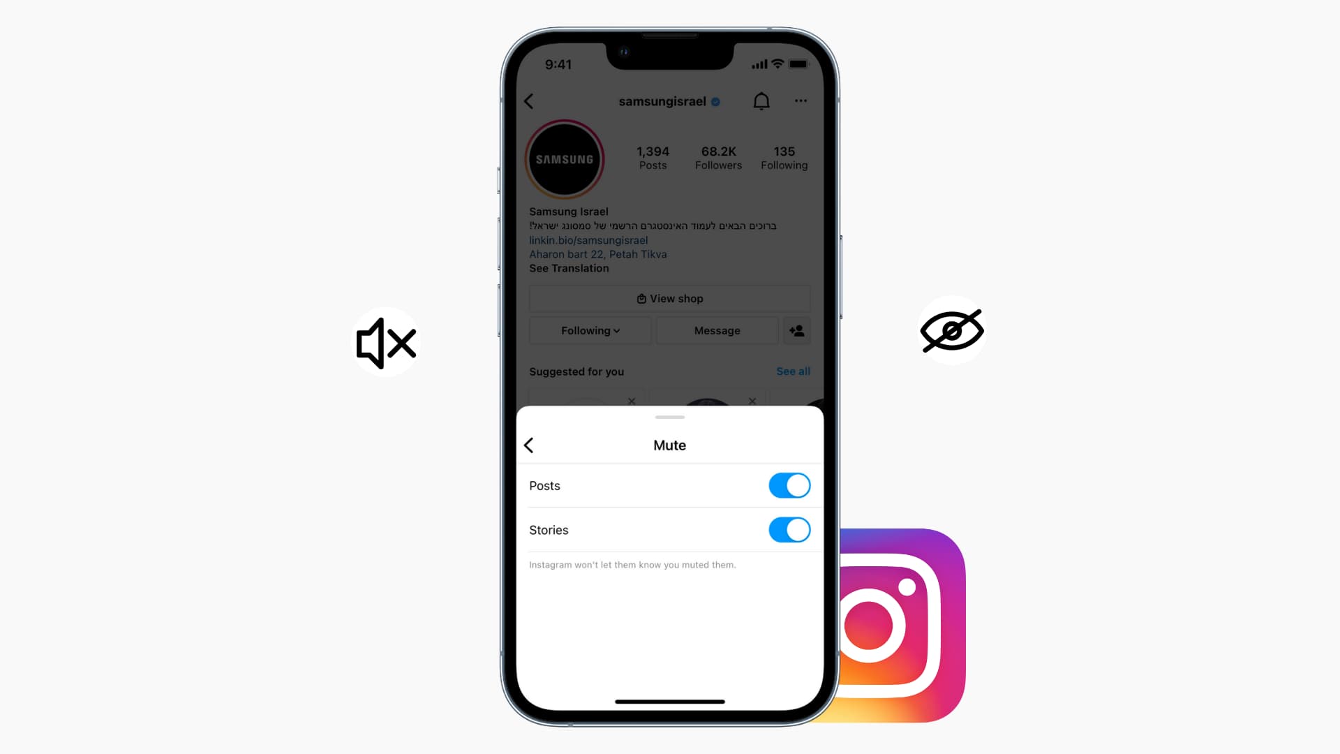 Mute an account's Instagram Post, Story, or both