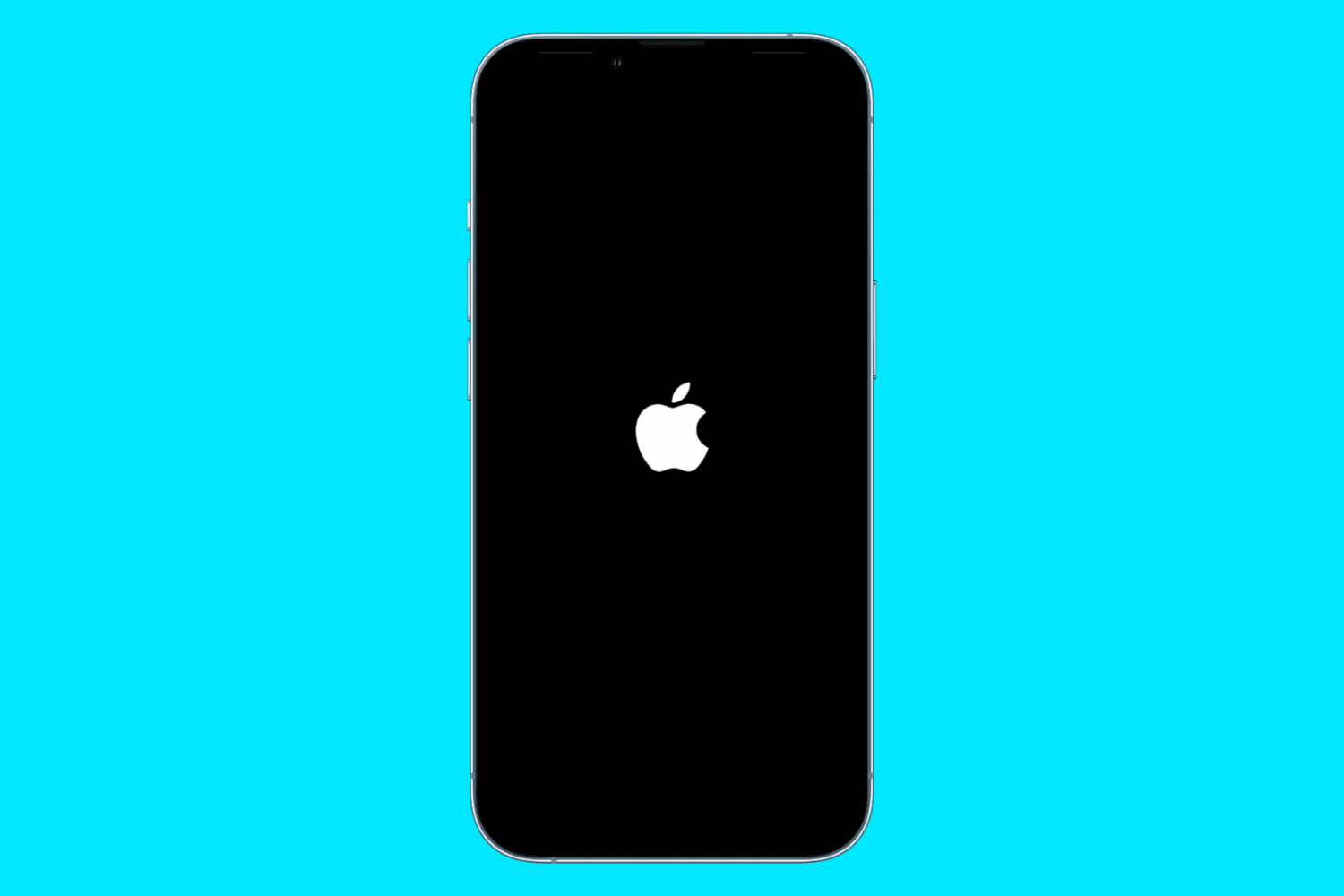 iPhone reboot screen showing the white Apple logo on black background