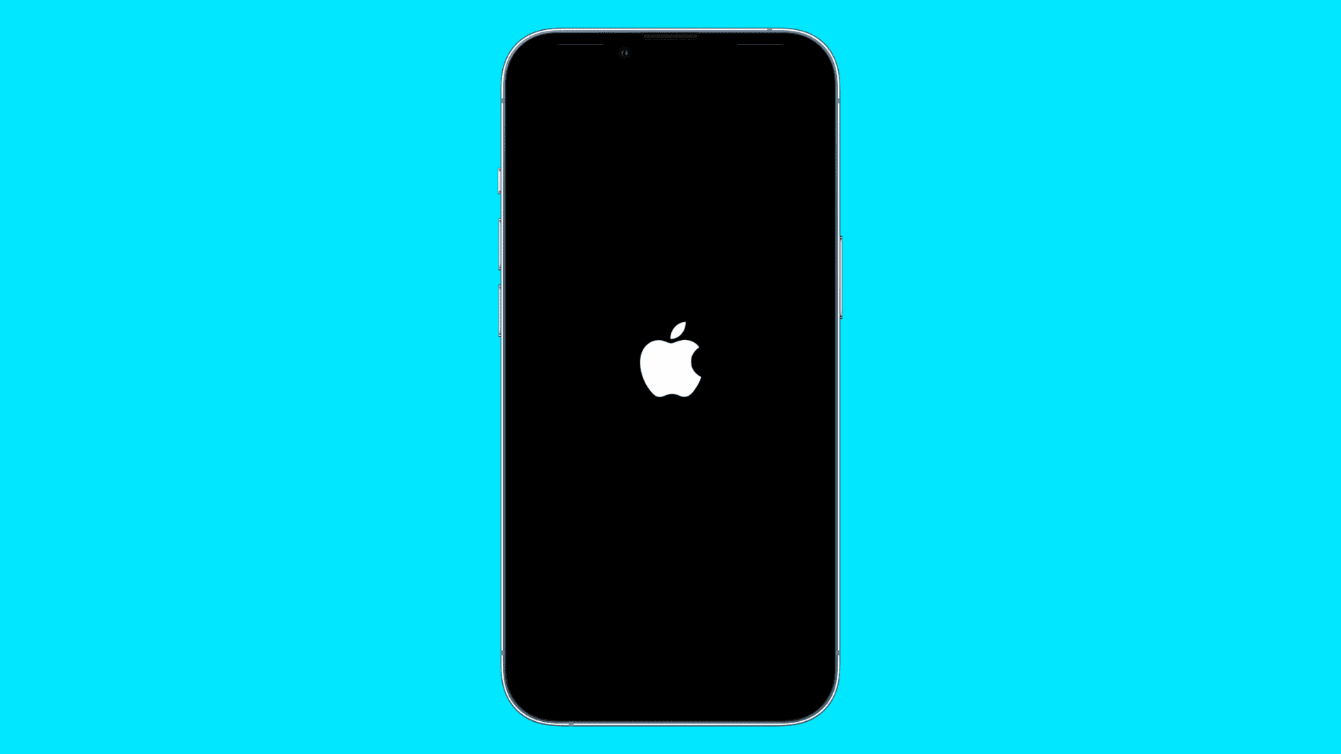 iPhone reboot screen showing the white Apple logo on black background