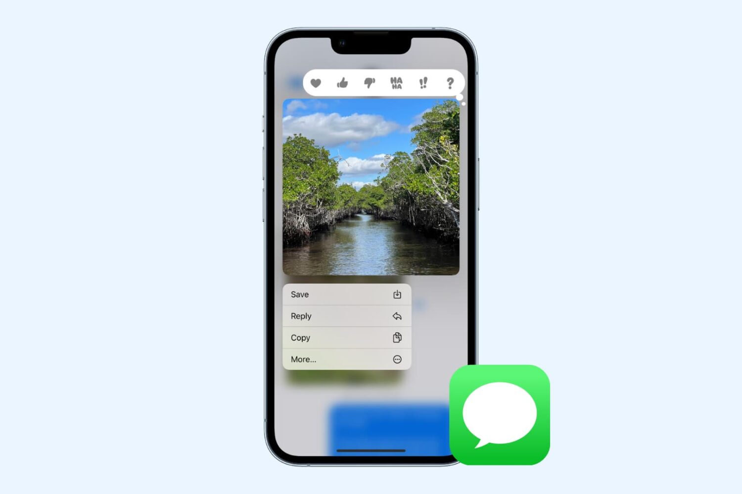 Save photos from Messages to iOS Photos app