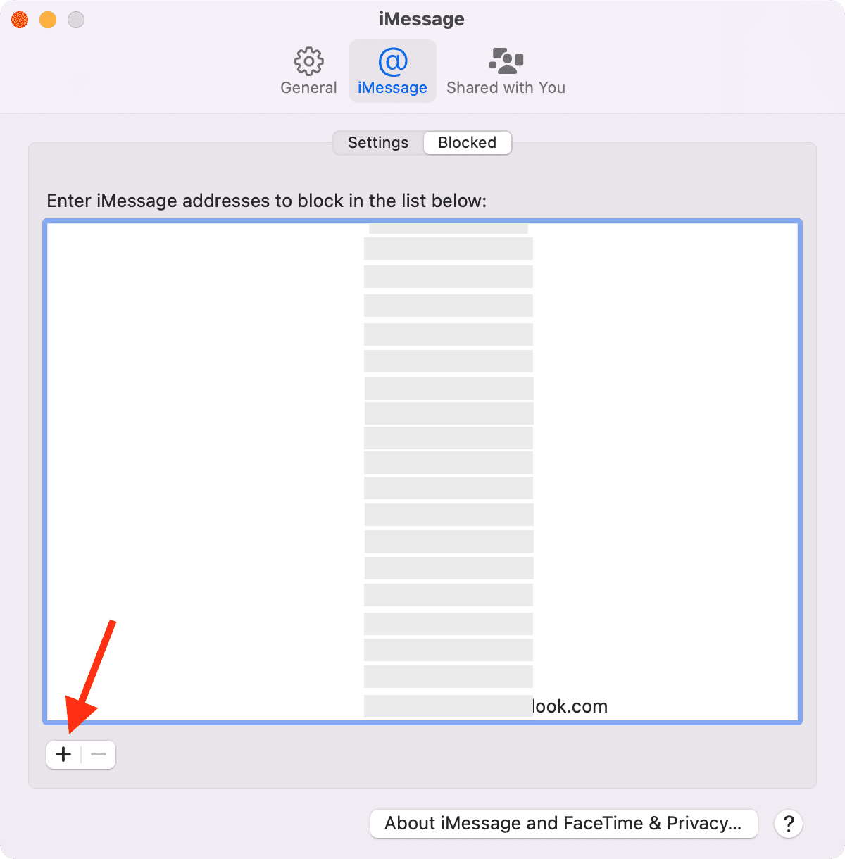 Blocked list in Messages app on Mac