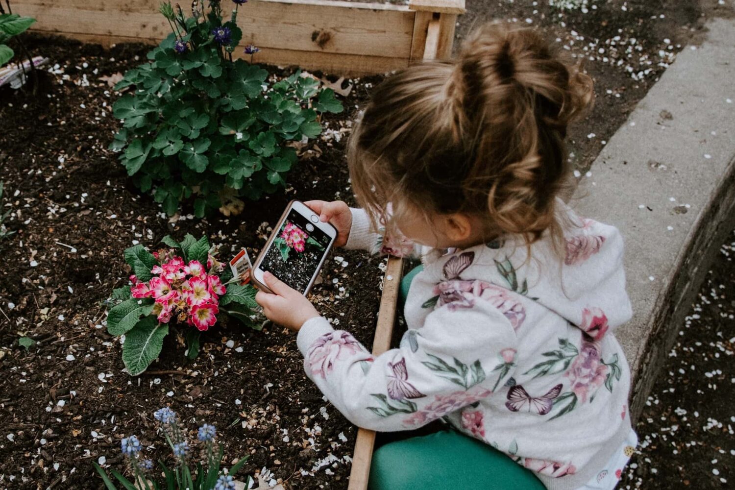 Child taking a picture of flower using iPhone