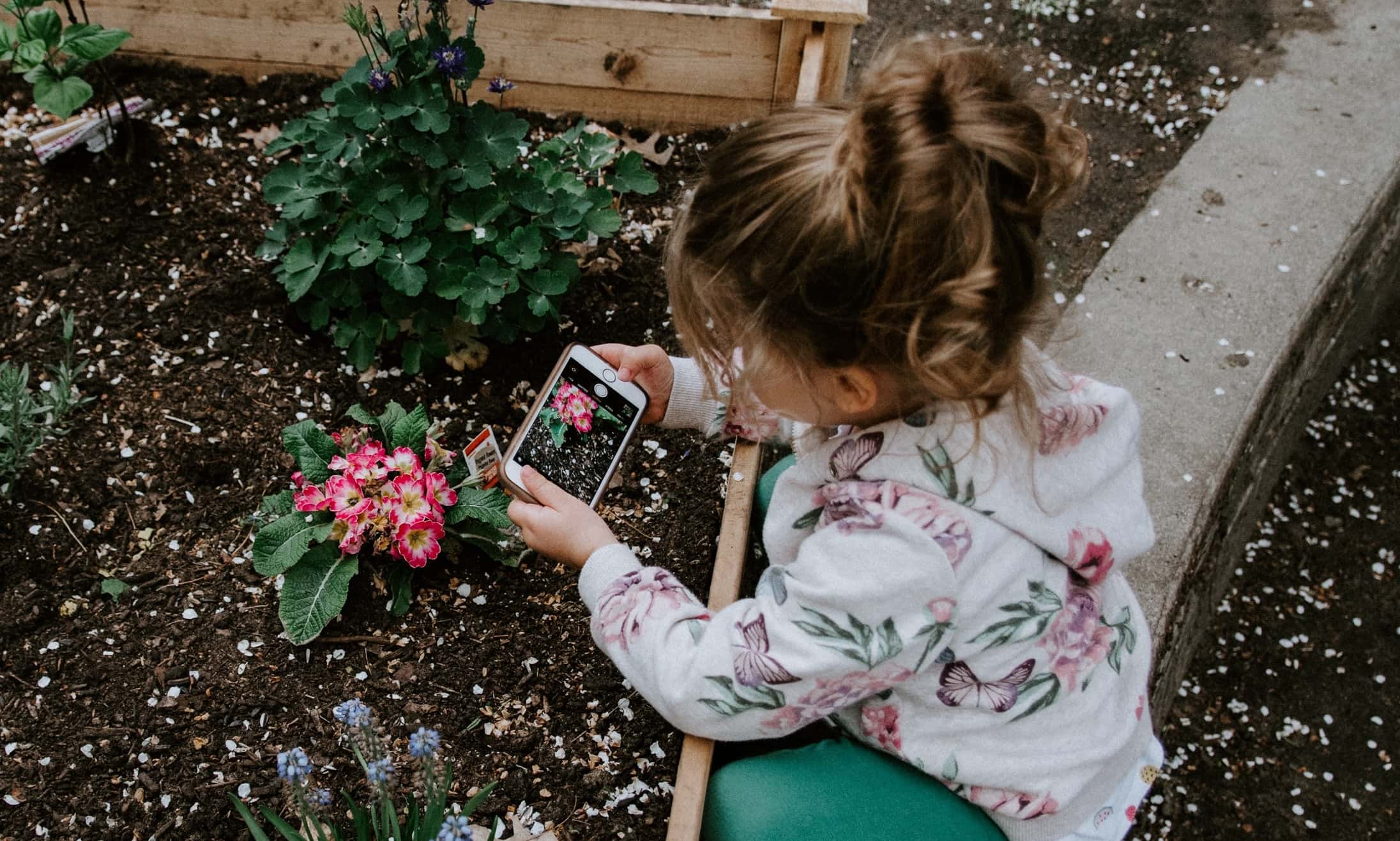 Child taking a picture of flower using iPhone