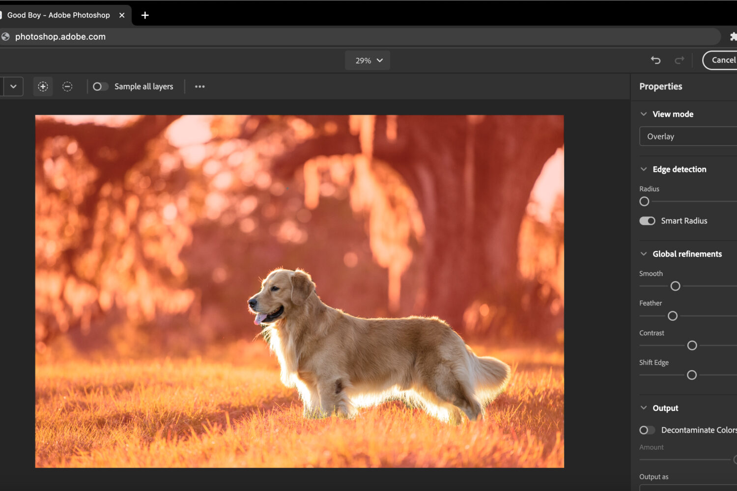 The Refine Edge feature is showcased in this browser screenshot of the web version of Photoshop, provided by Adobe
