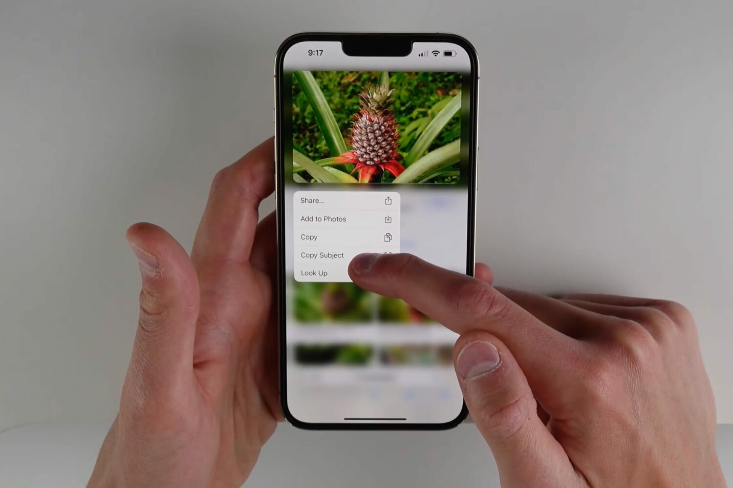 Demonstrating lifting the subject from an image in Safari on iOS 16. In this example, the user touches and holds their finger on a pineapple in the foreground of an image, producing a menu with the Copy Subject option.
