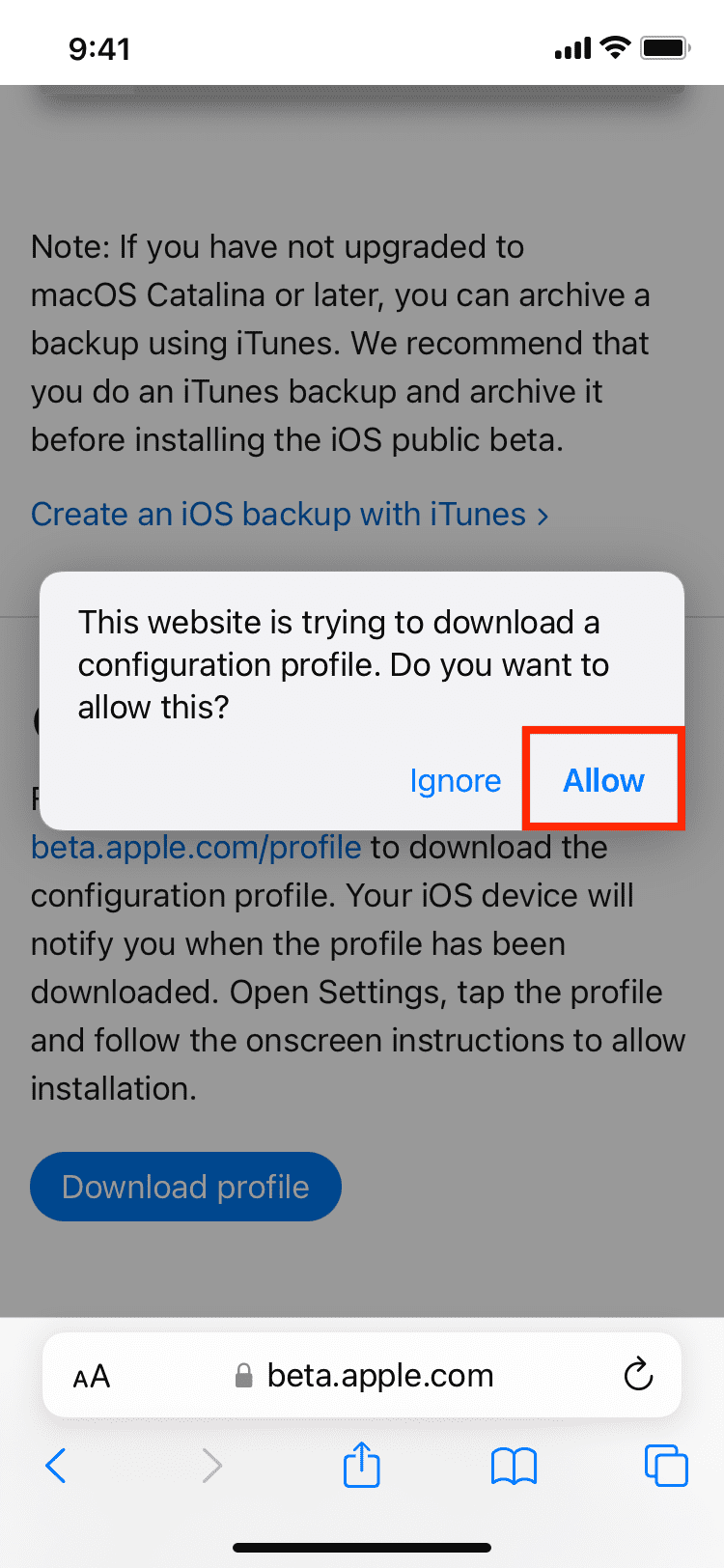 Allow Safari to download beta profile