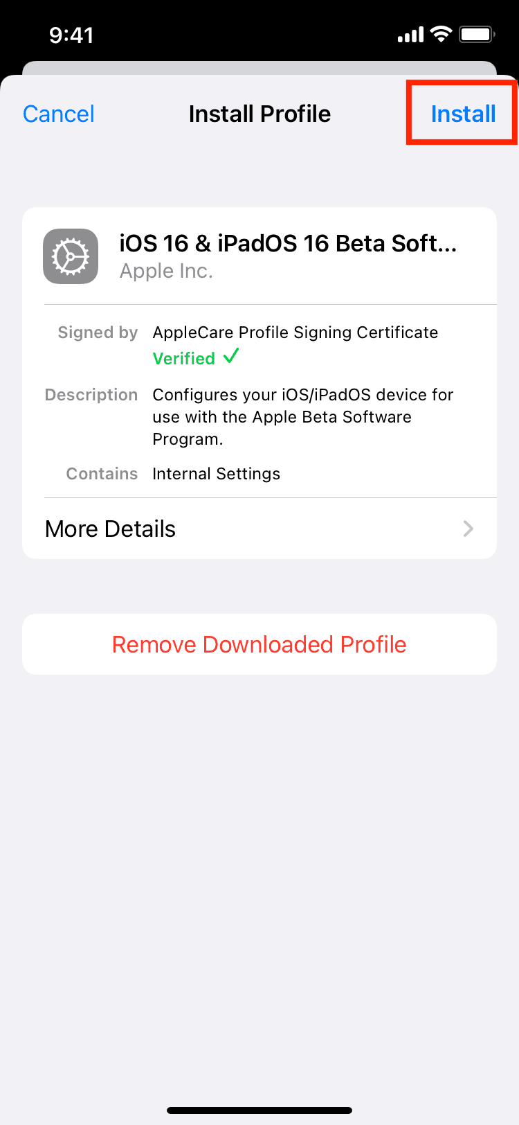 Install public beta profile on your iPhone