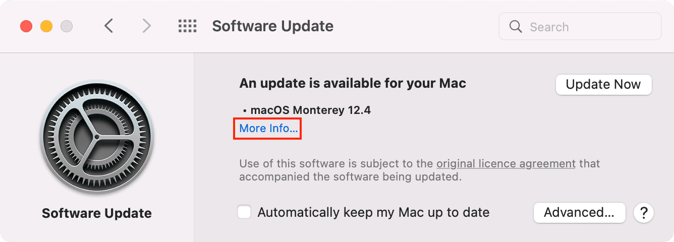 More Info in Mac Software Update