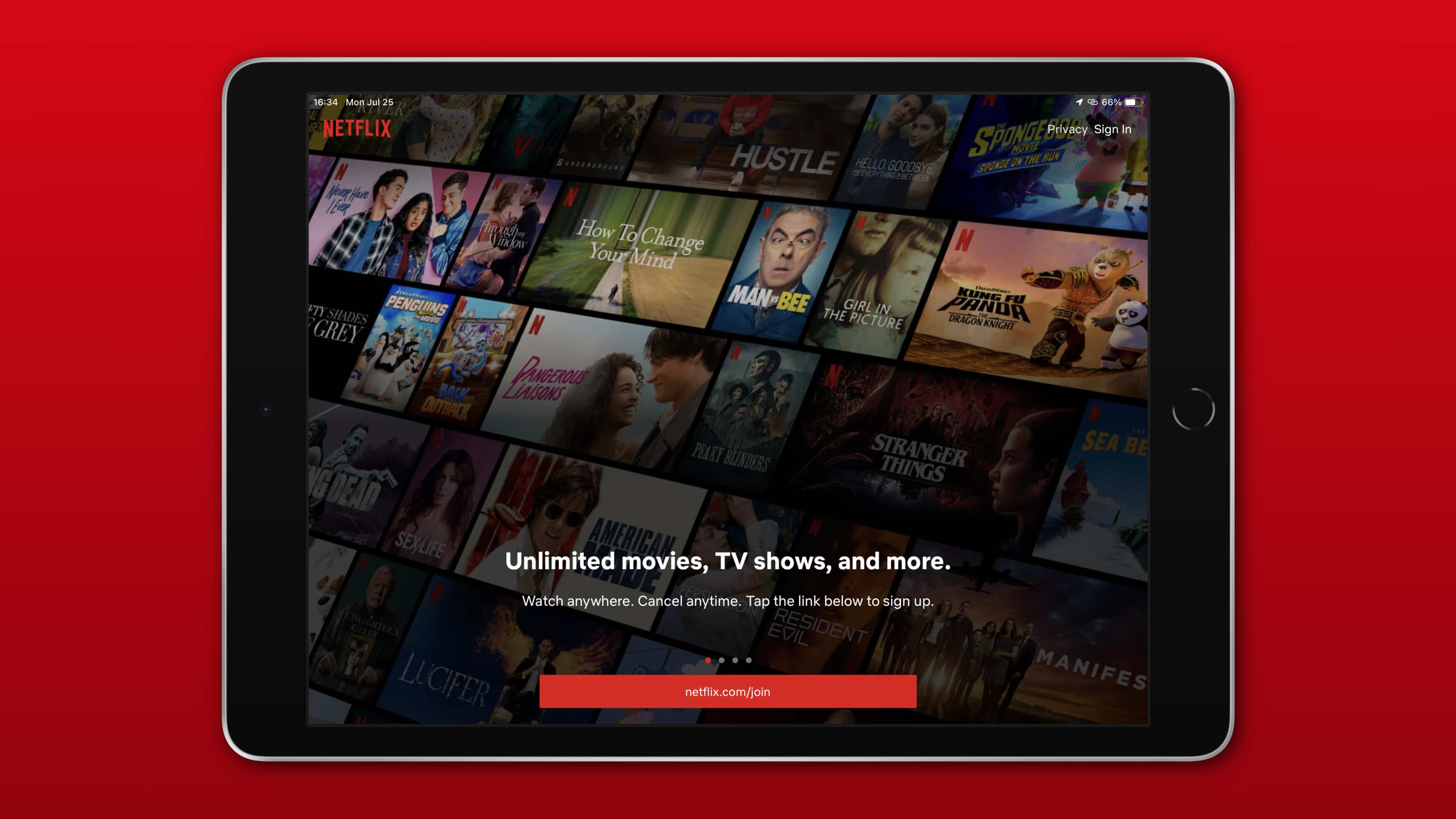 iPad screenshot showing the sign-in prompt in the Netflix app