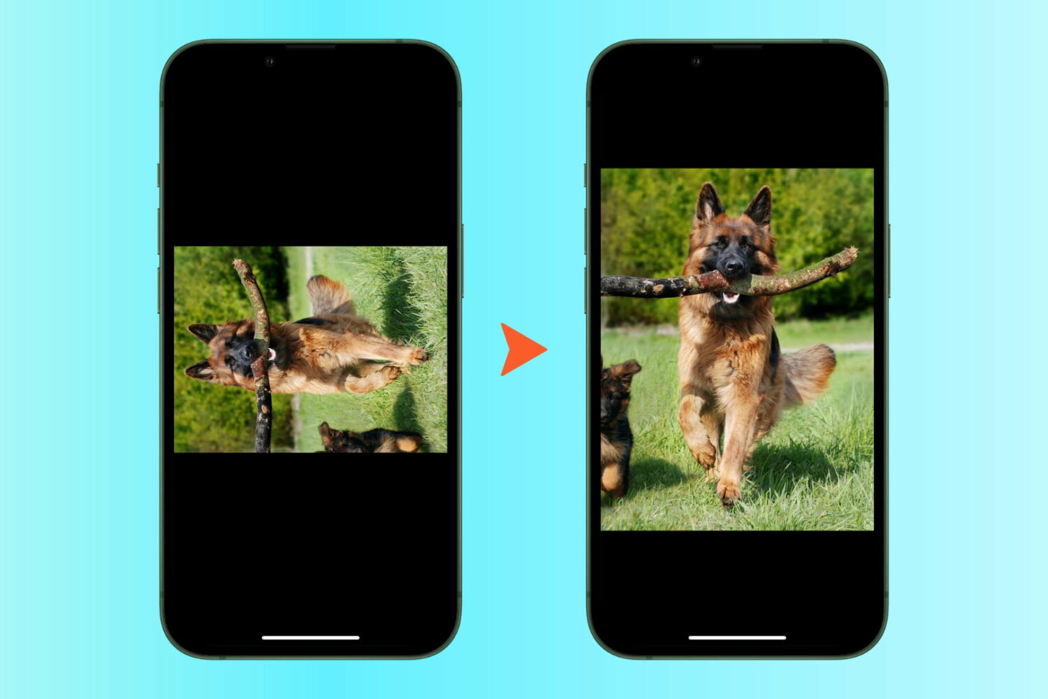 Rotate images in batch on iPhone