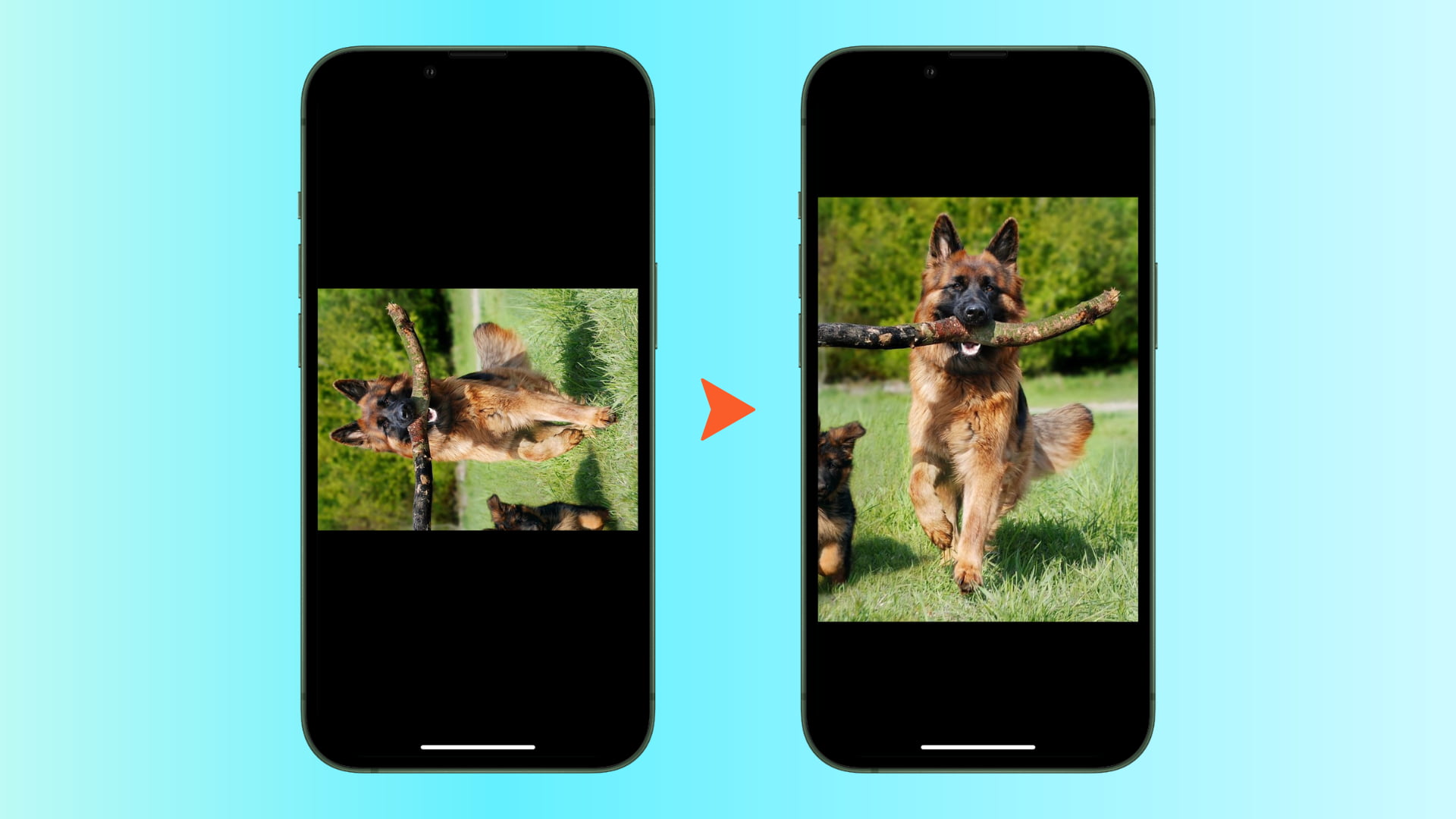 Rotate images in batch on iPhone