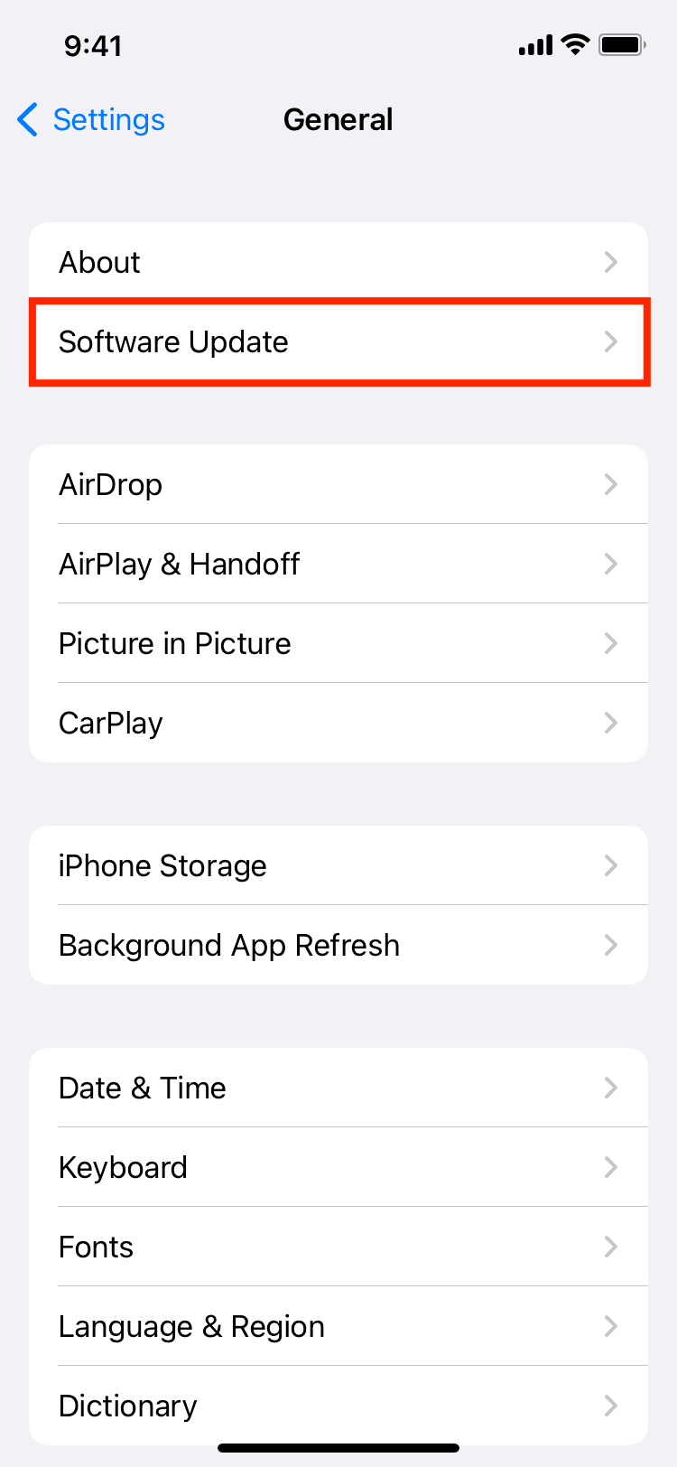 Tap Software Update in iPhone settings