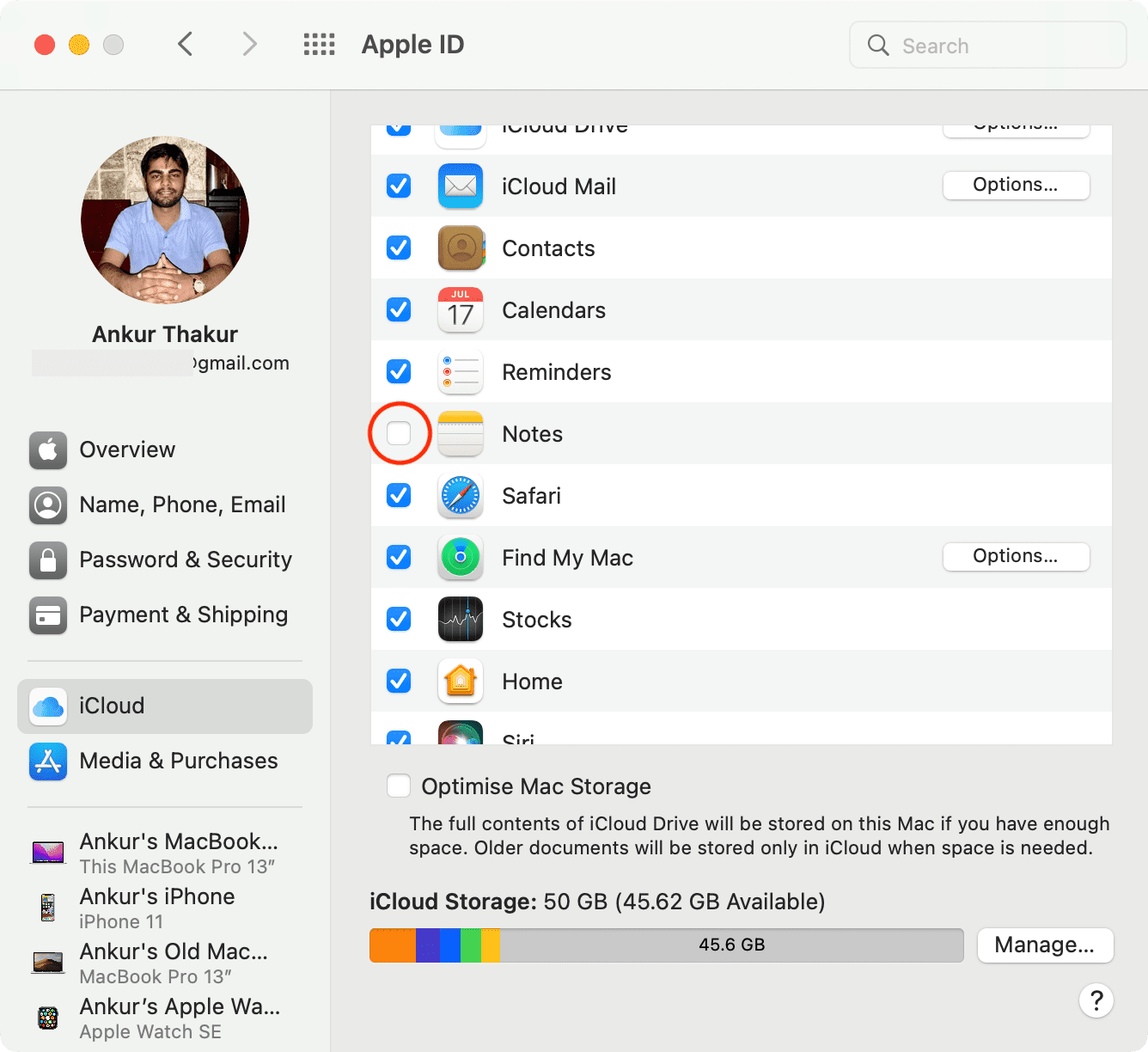 Disable iCloud Notes on Mac