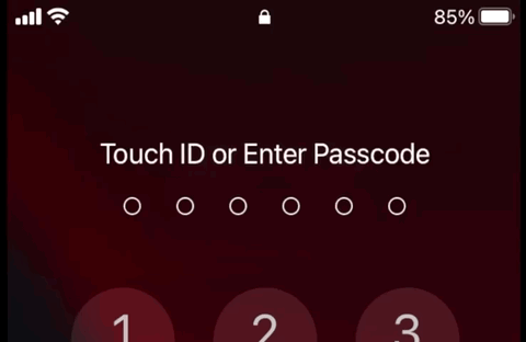 Animated passcode dots provided by PinAnim.