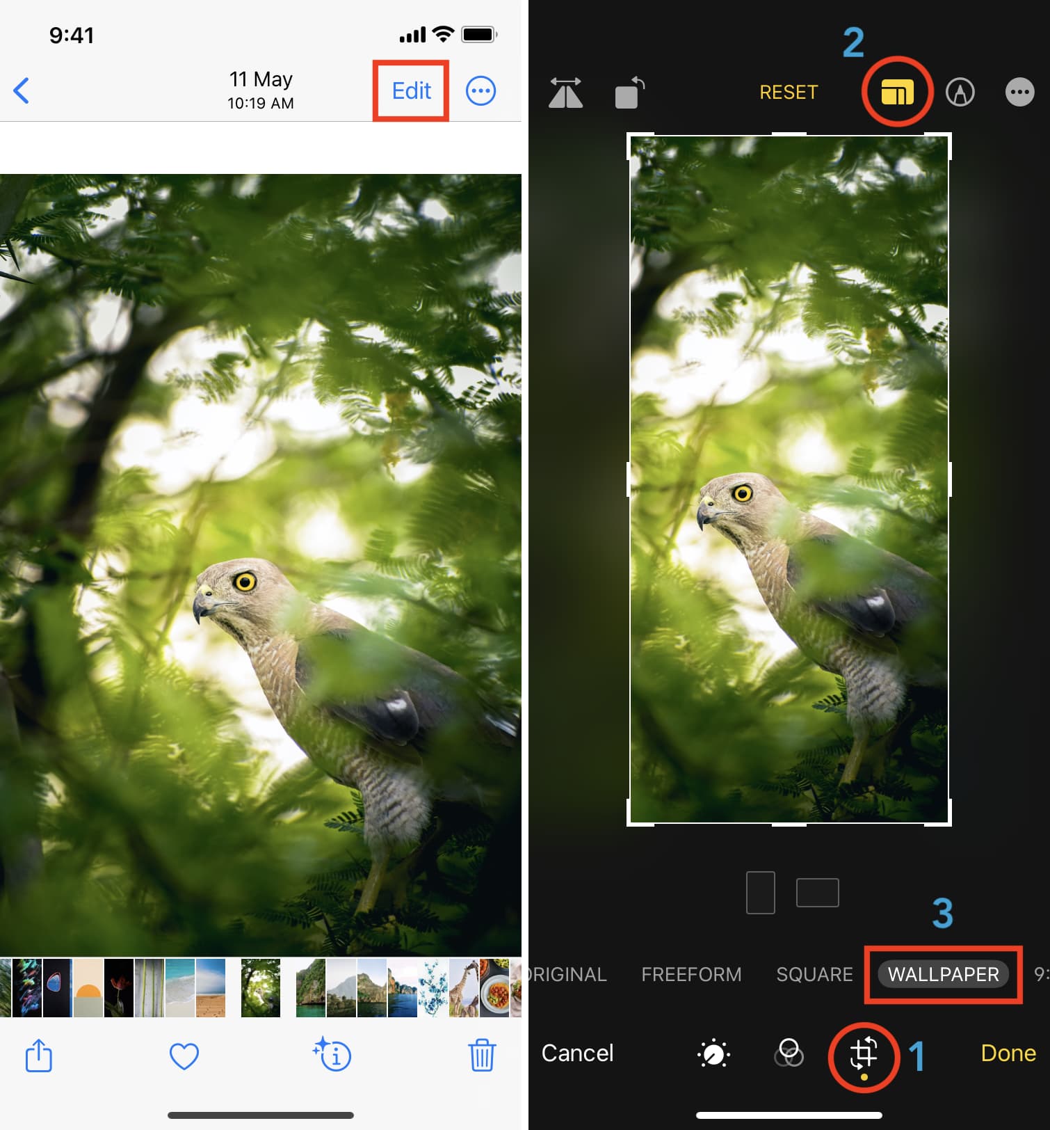 Edit image in perfect wallpaper dimensions in iPhone Photos app on iOS 16