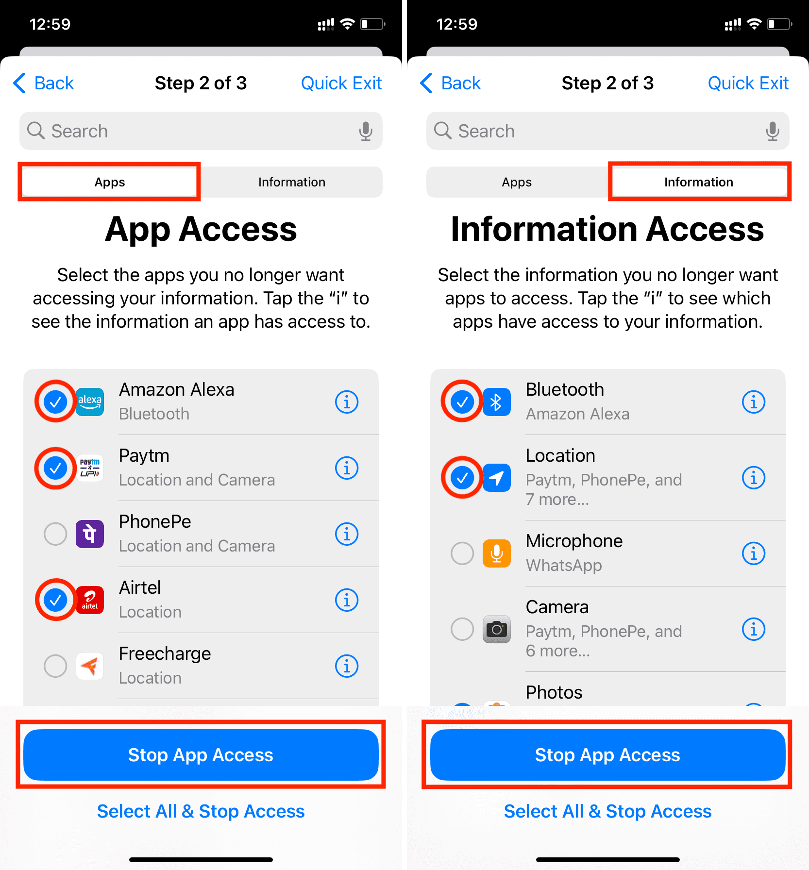 App Access settings in iPhone Safety Check