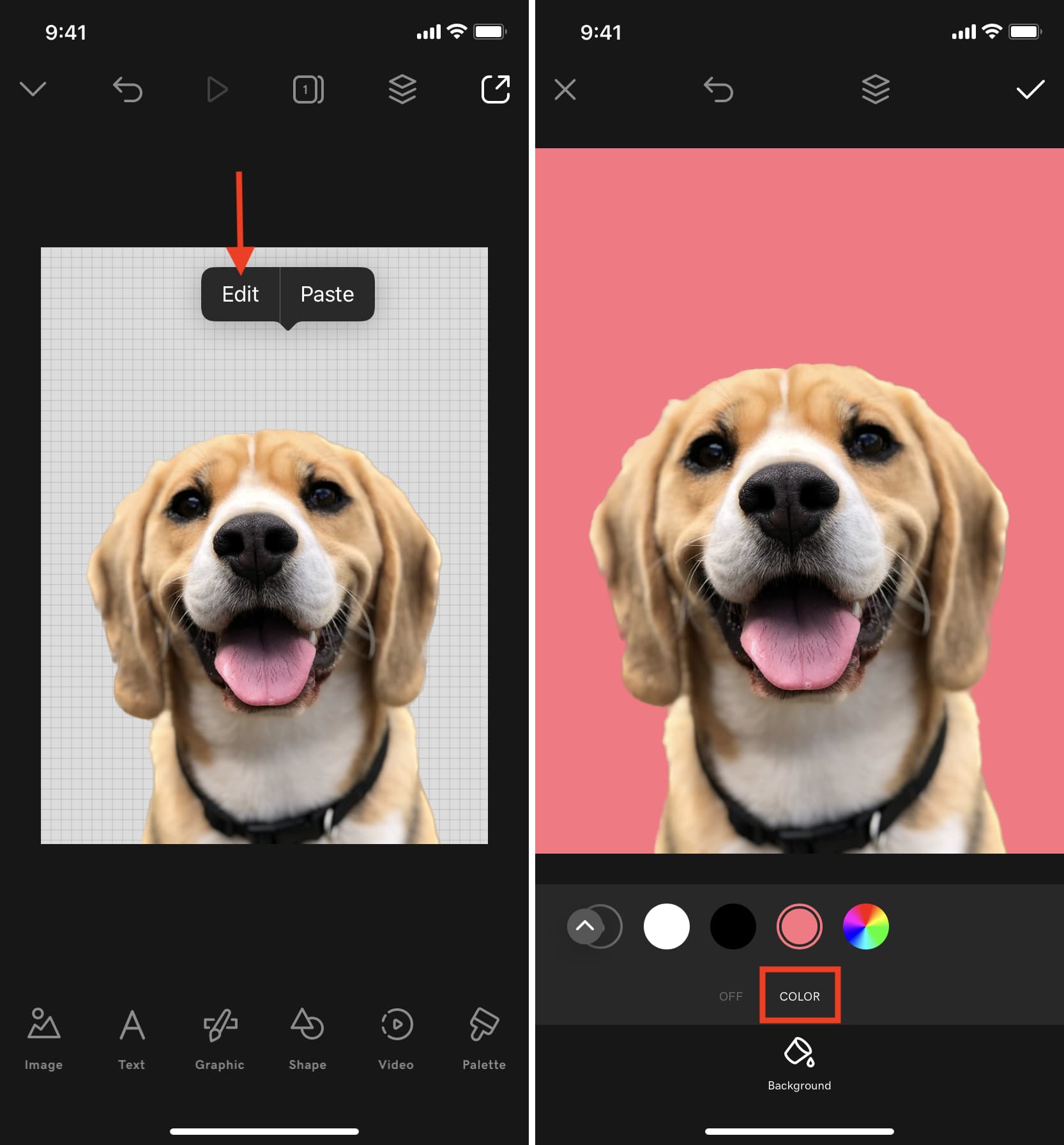 Change background of an image in Studio app on iPhone