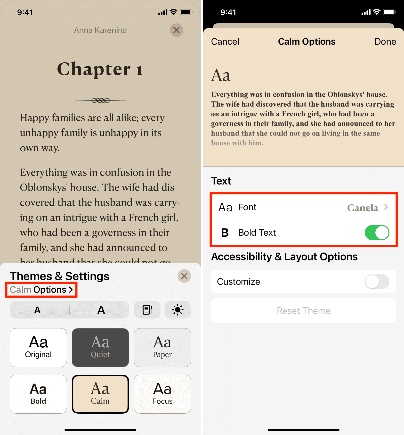 Customize theme in Books app on iPhone iPad