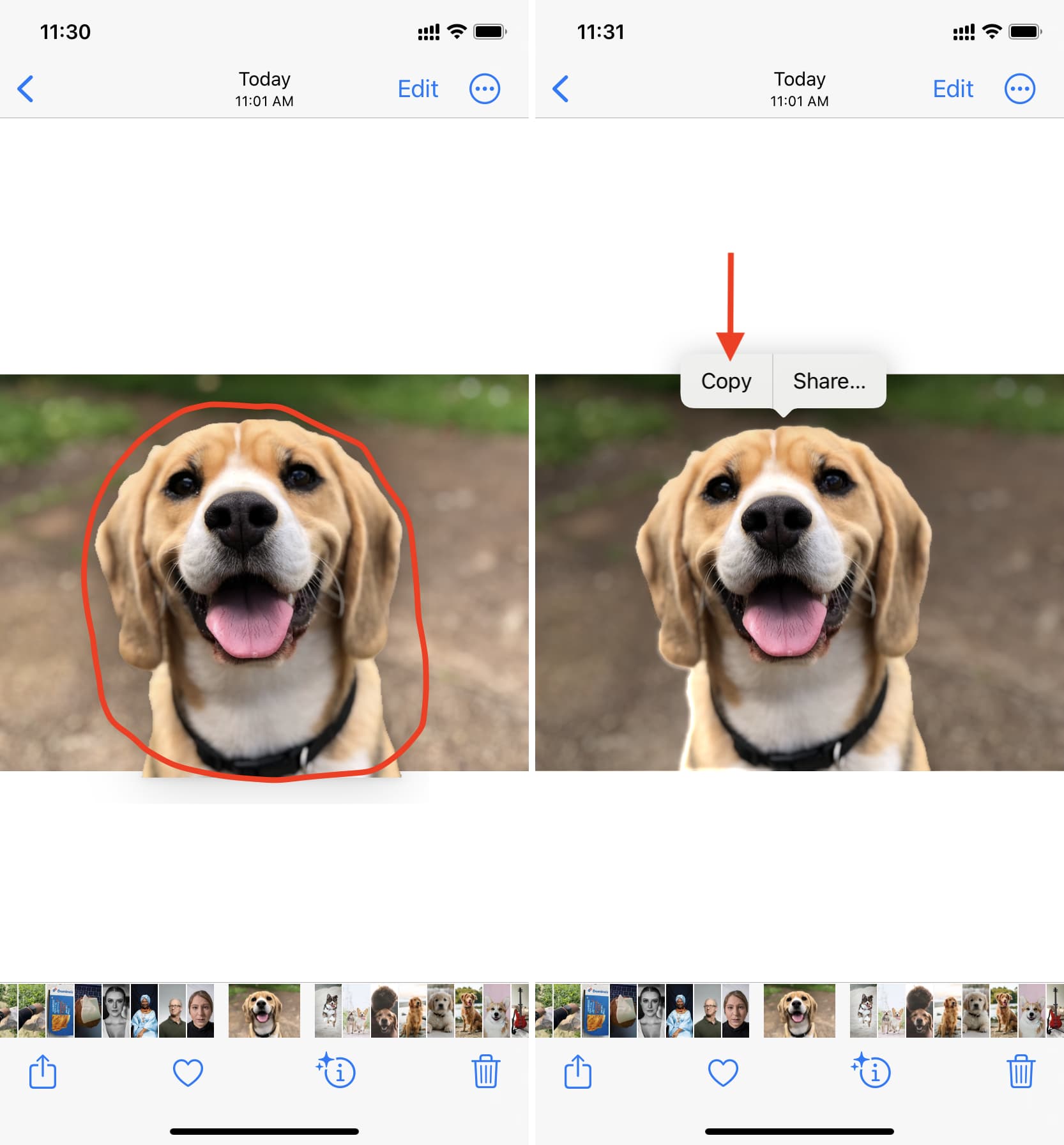 Extract and Copy the main subject from Photos app on iPhone