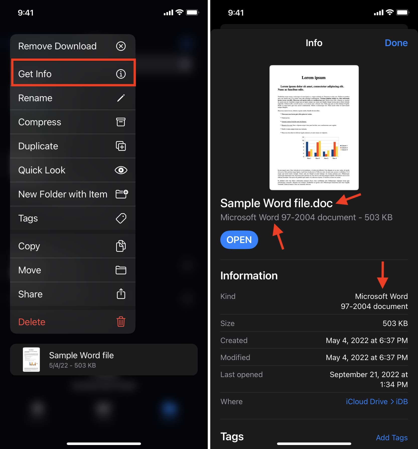 Get Info for a file inside the iPhone Files app