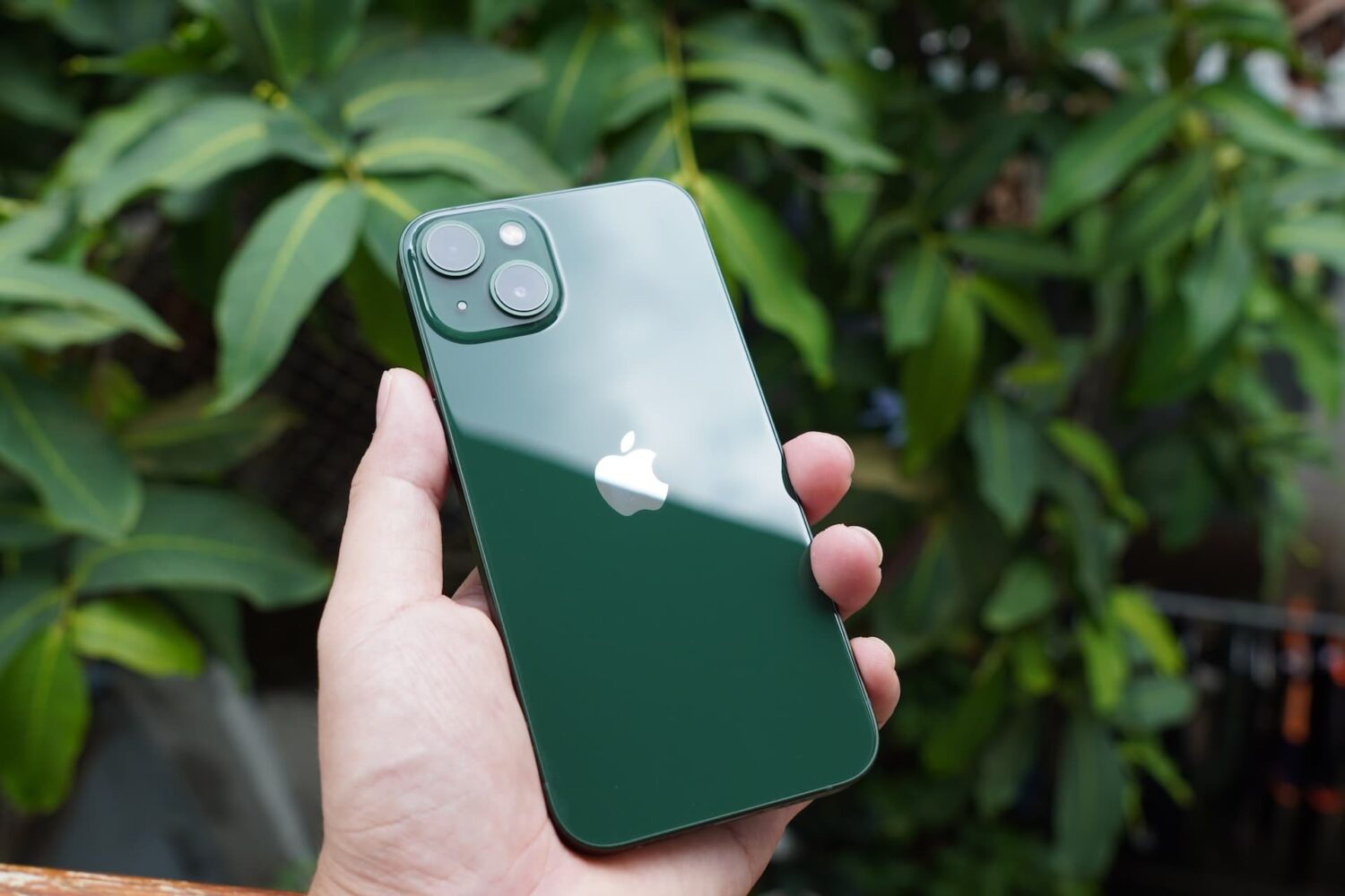 Holding green iPhone 13 in front of green bushes