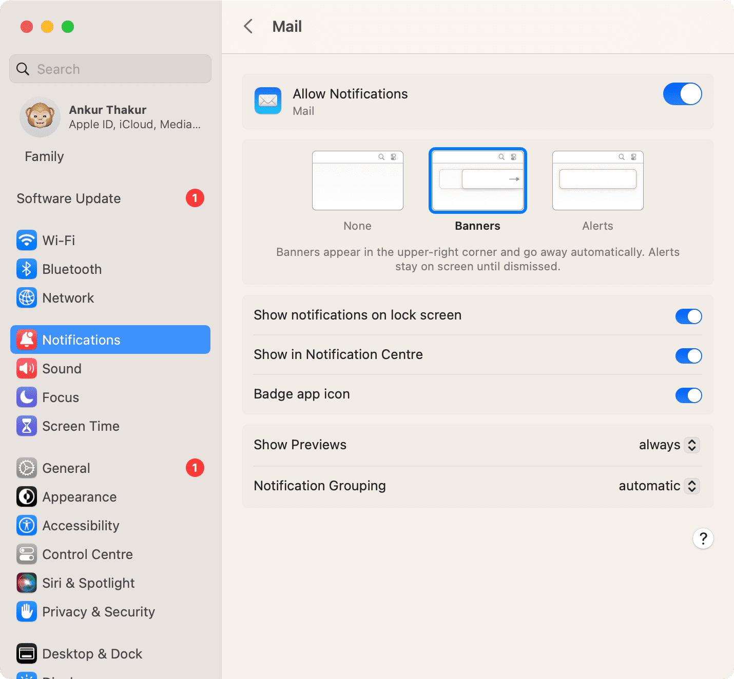 Mail app notification setting on Mac