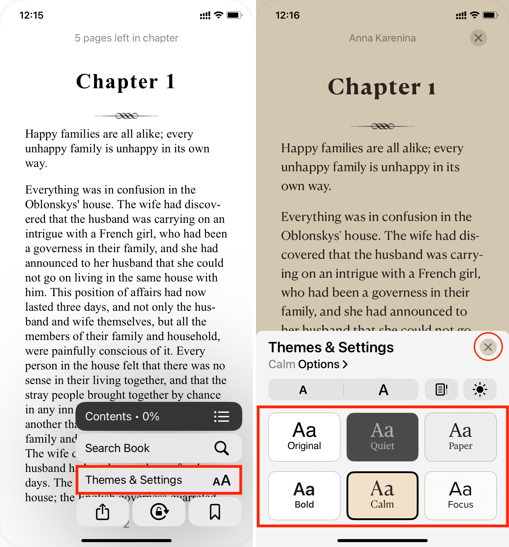 Pick a theme in Books app on iPhone