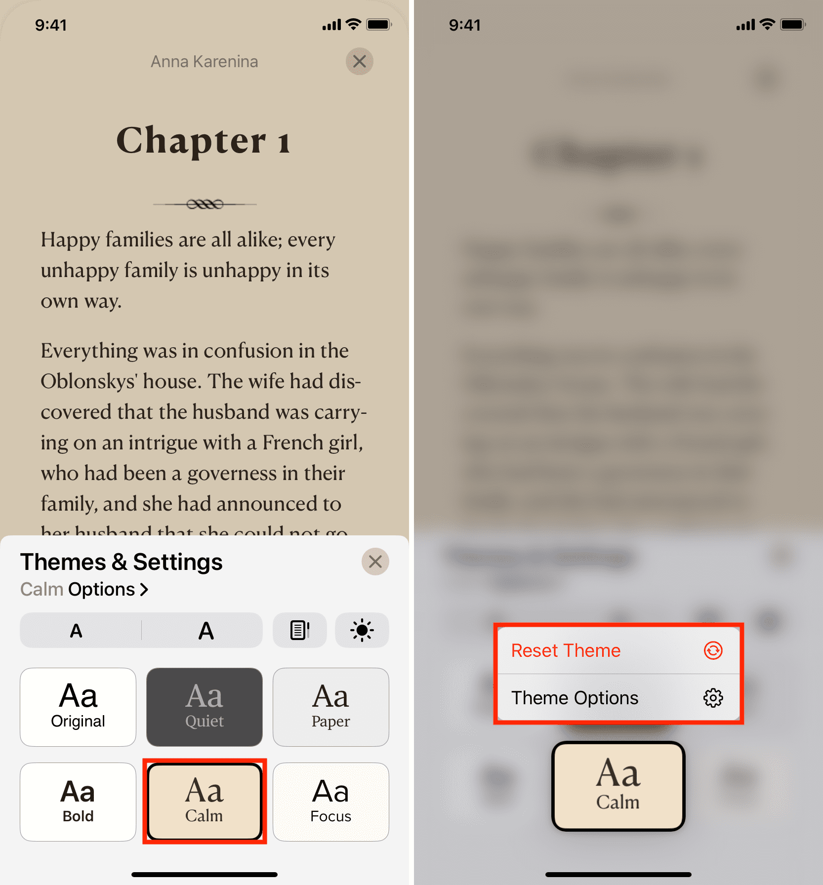 Press a theme in Books app to customize or reset it