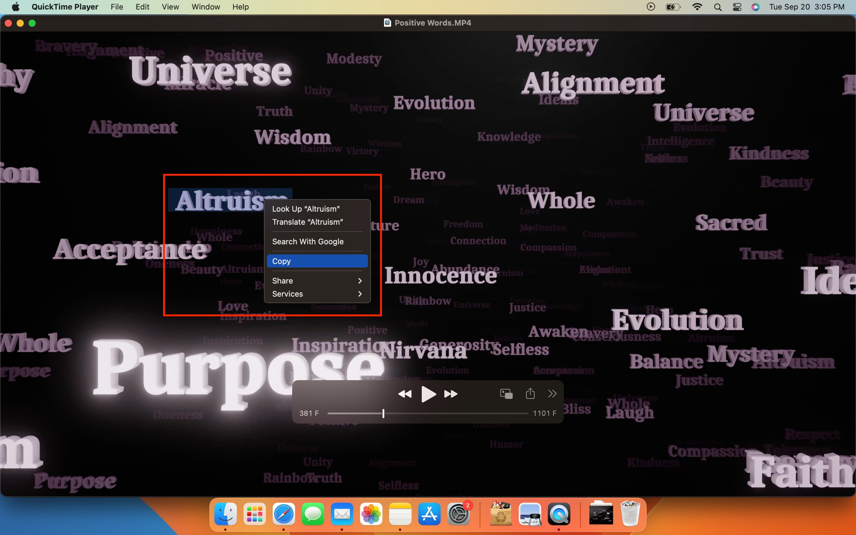 Use Live Text in video on Mac