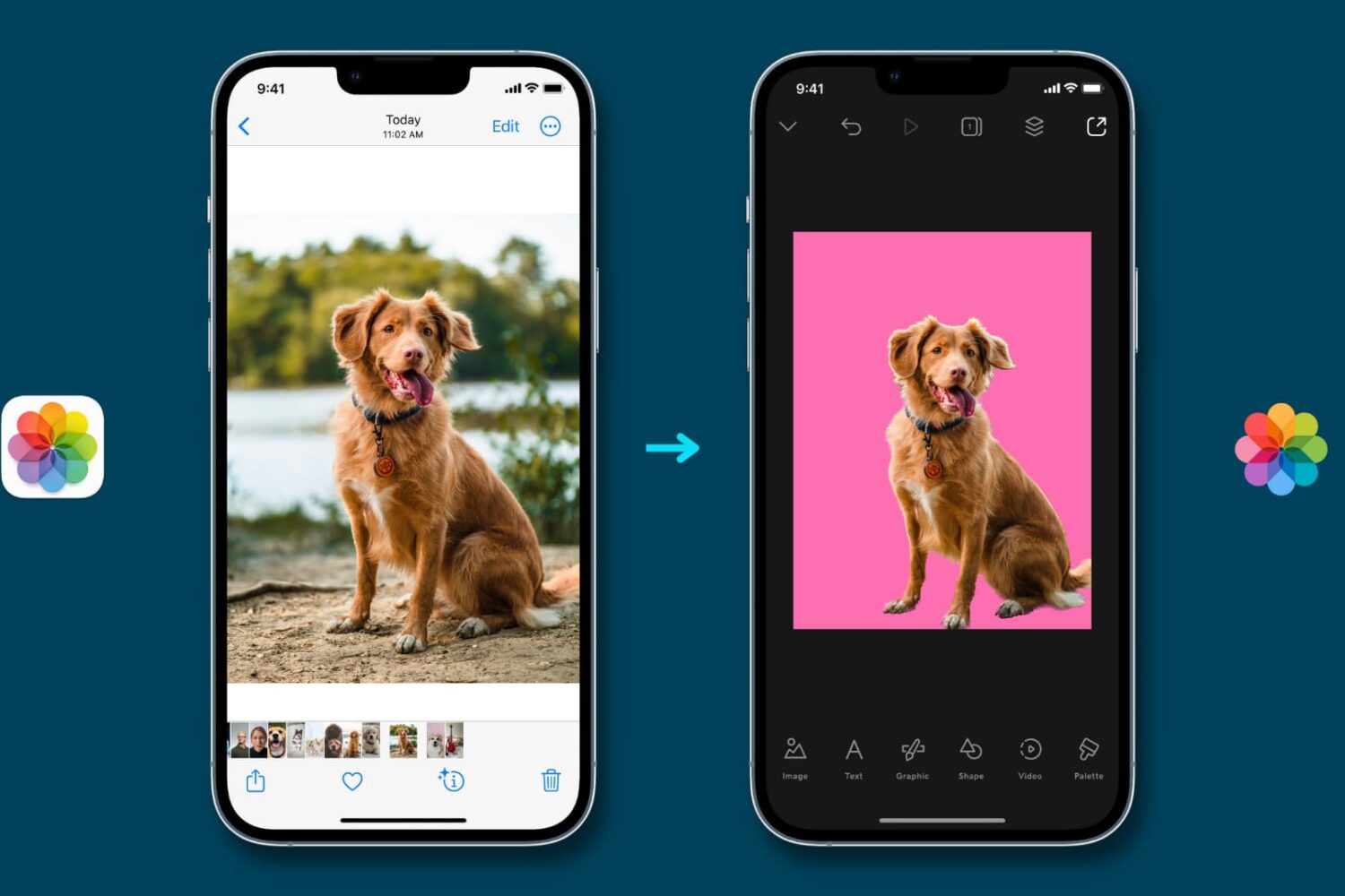 Two iPhone mockups showing how to use Visual Look Up to extract subject from a photo in iOS 16
