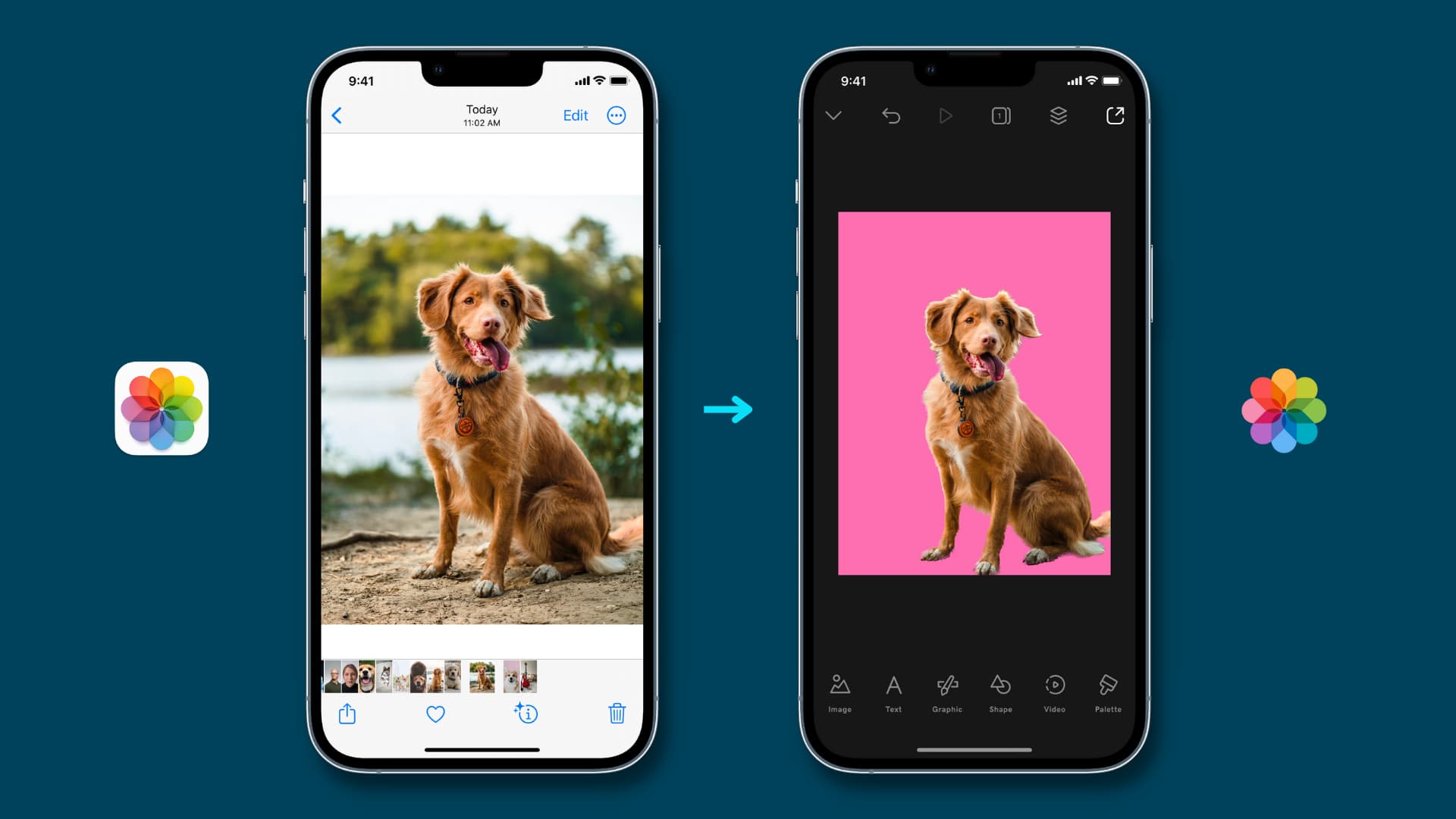 How to remove the background of a photo on iPhone